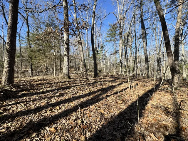 0 Timber Ridge, Buchanan, VA, 24066