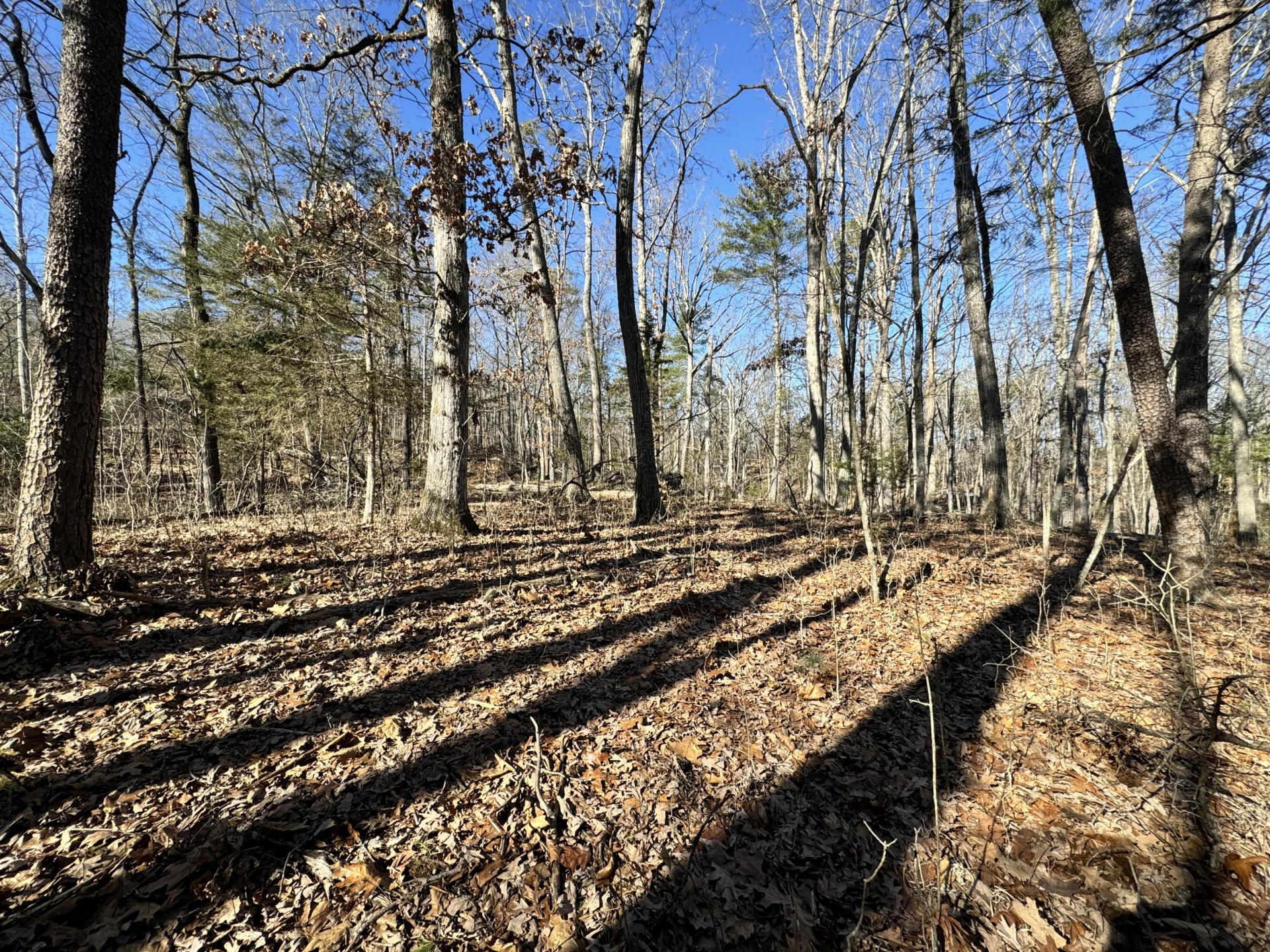 0 Timber Ridge