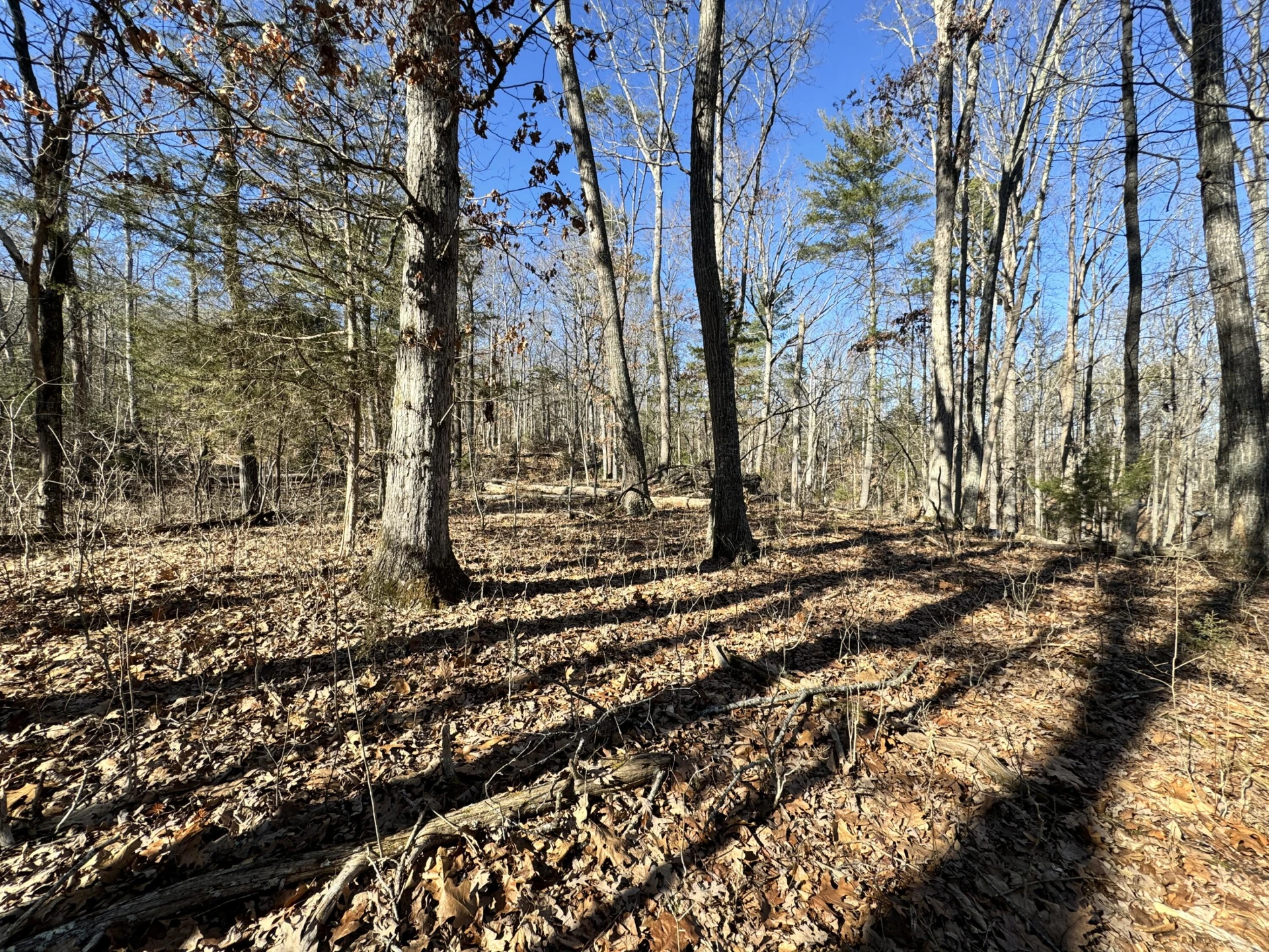 0 Timber Ridge - Photo 2