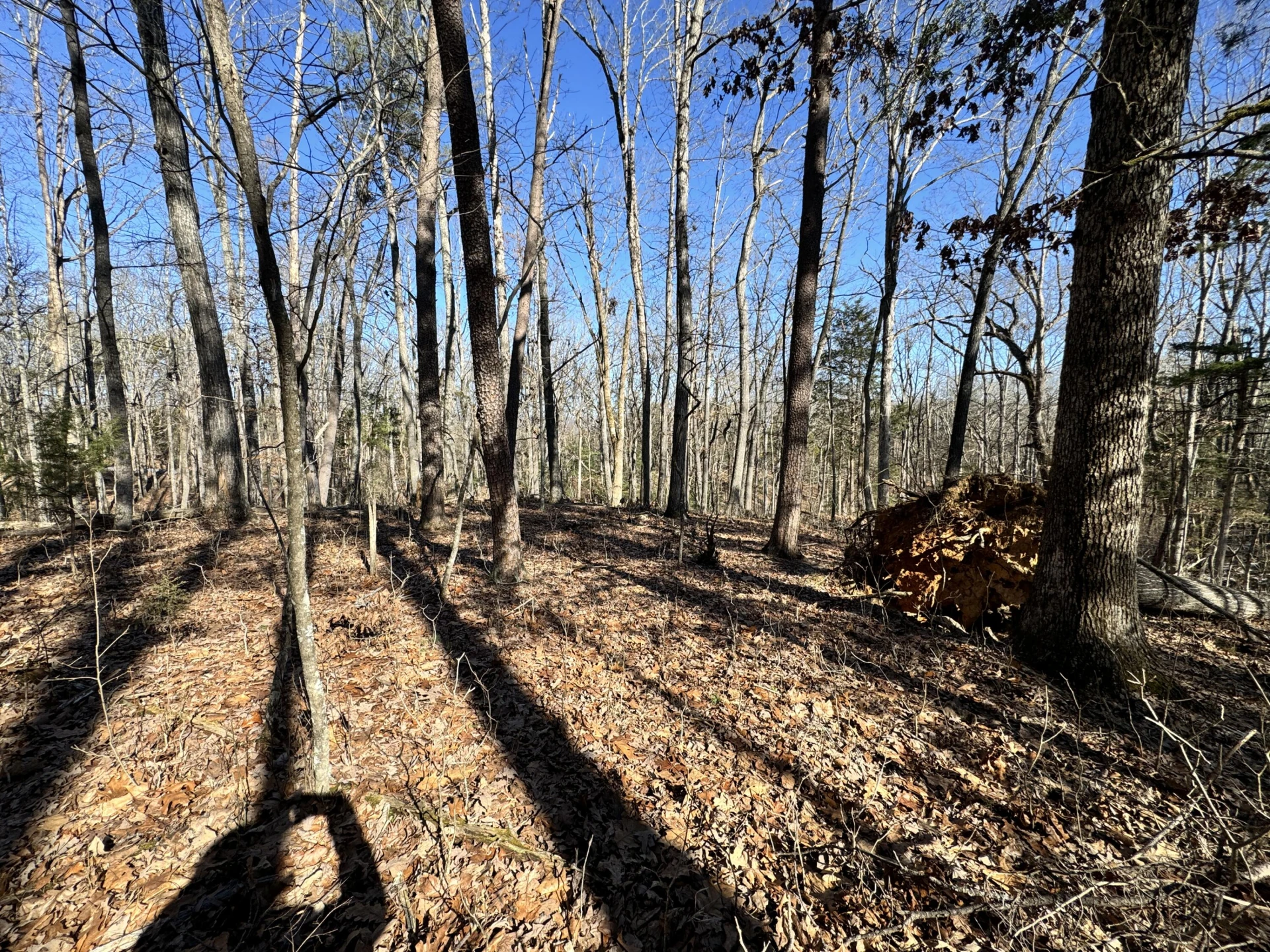 0 Timber Ridge - Photo 3