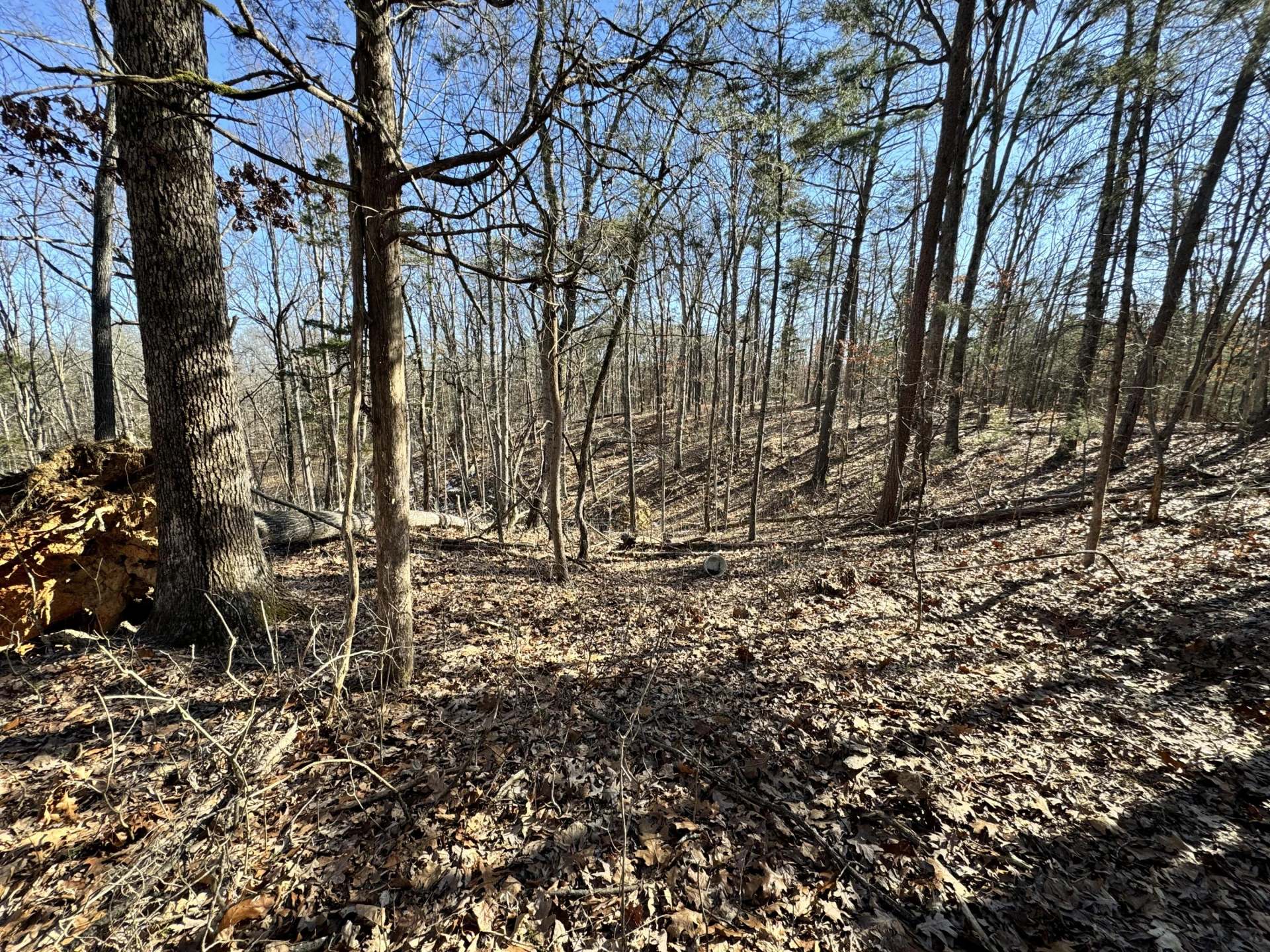 0 Timber Ridge - Photo 4