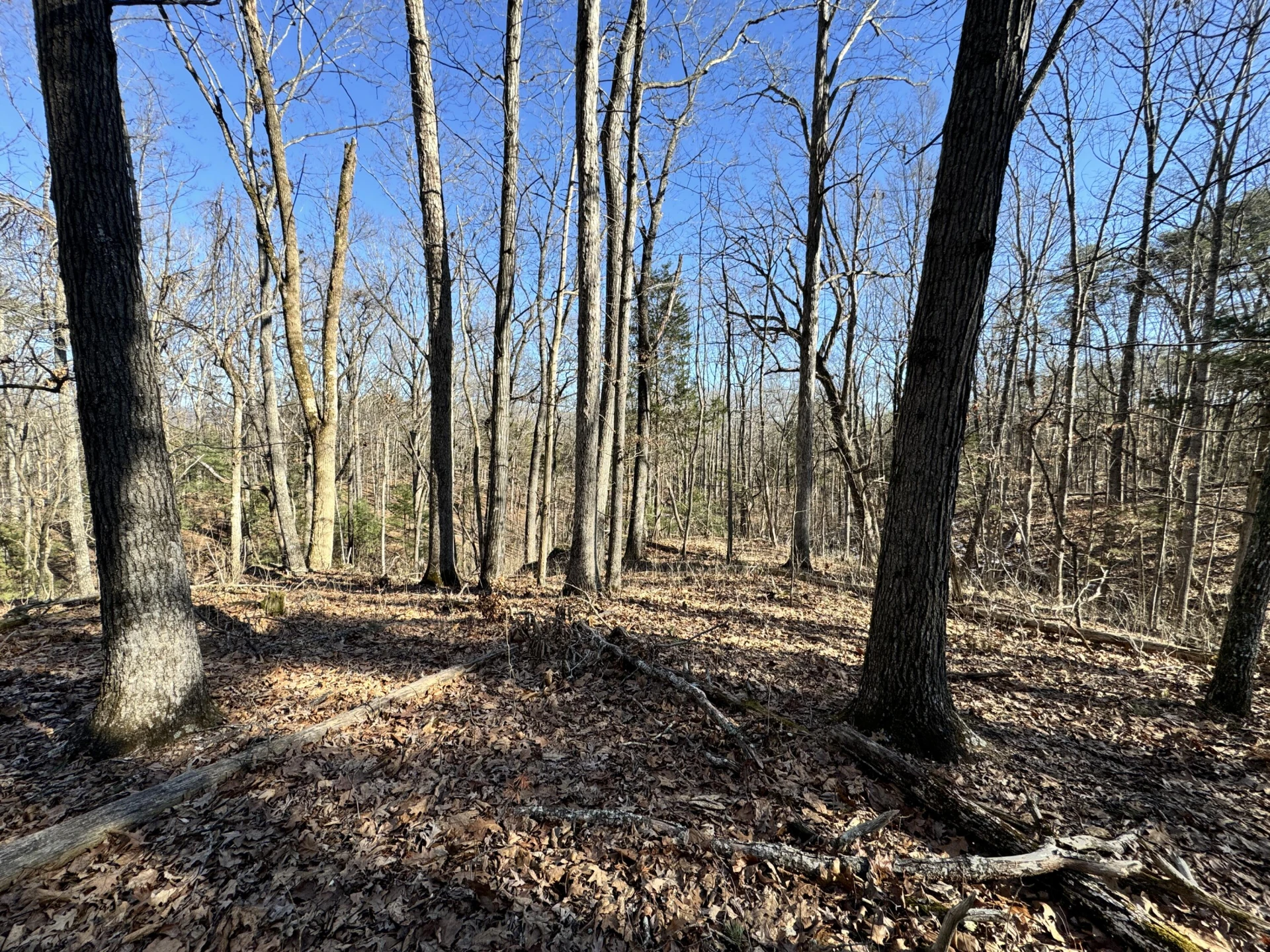 0 Timber Ridge - Photo 5