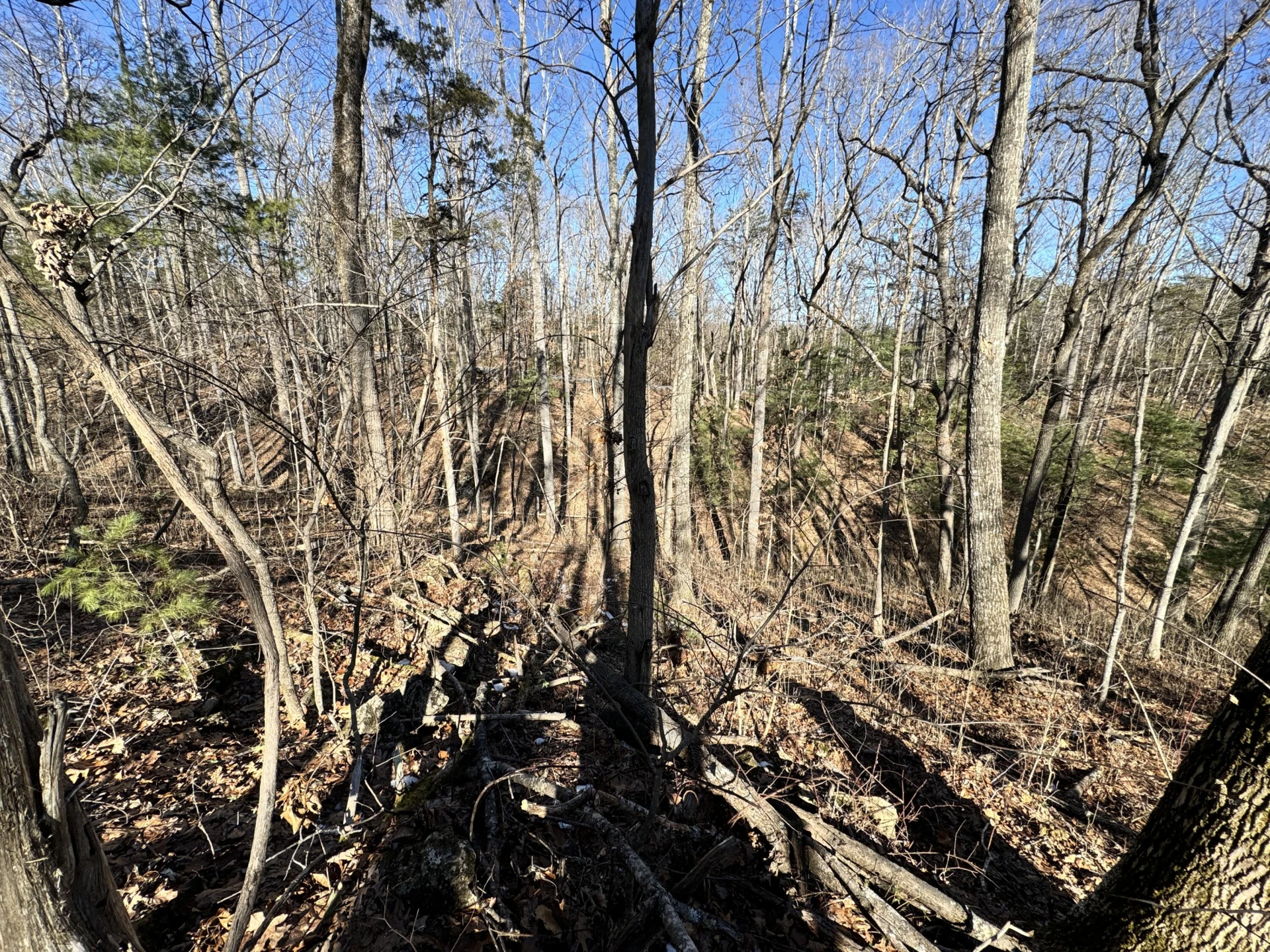 0 Timber Ridge - Photo 6