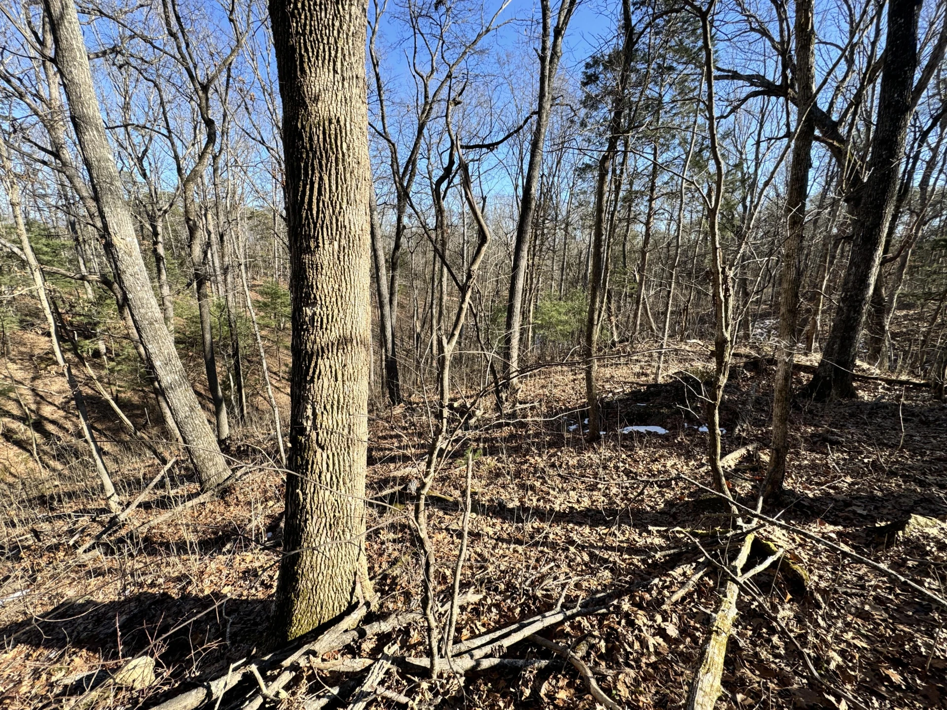 0 Timber Ridge - Photo 7