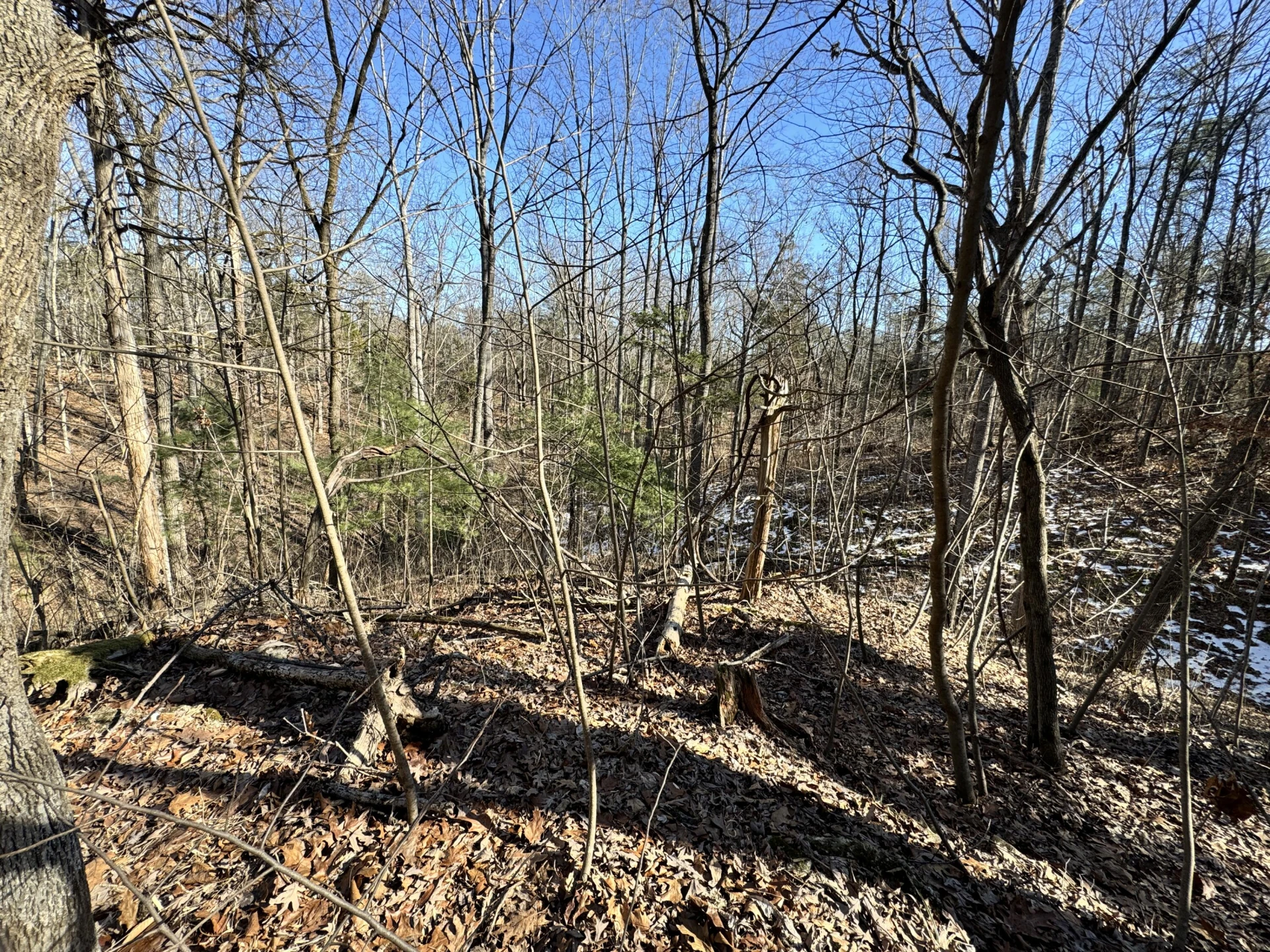0 Timber Ridge - Photo 8