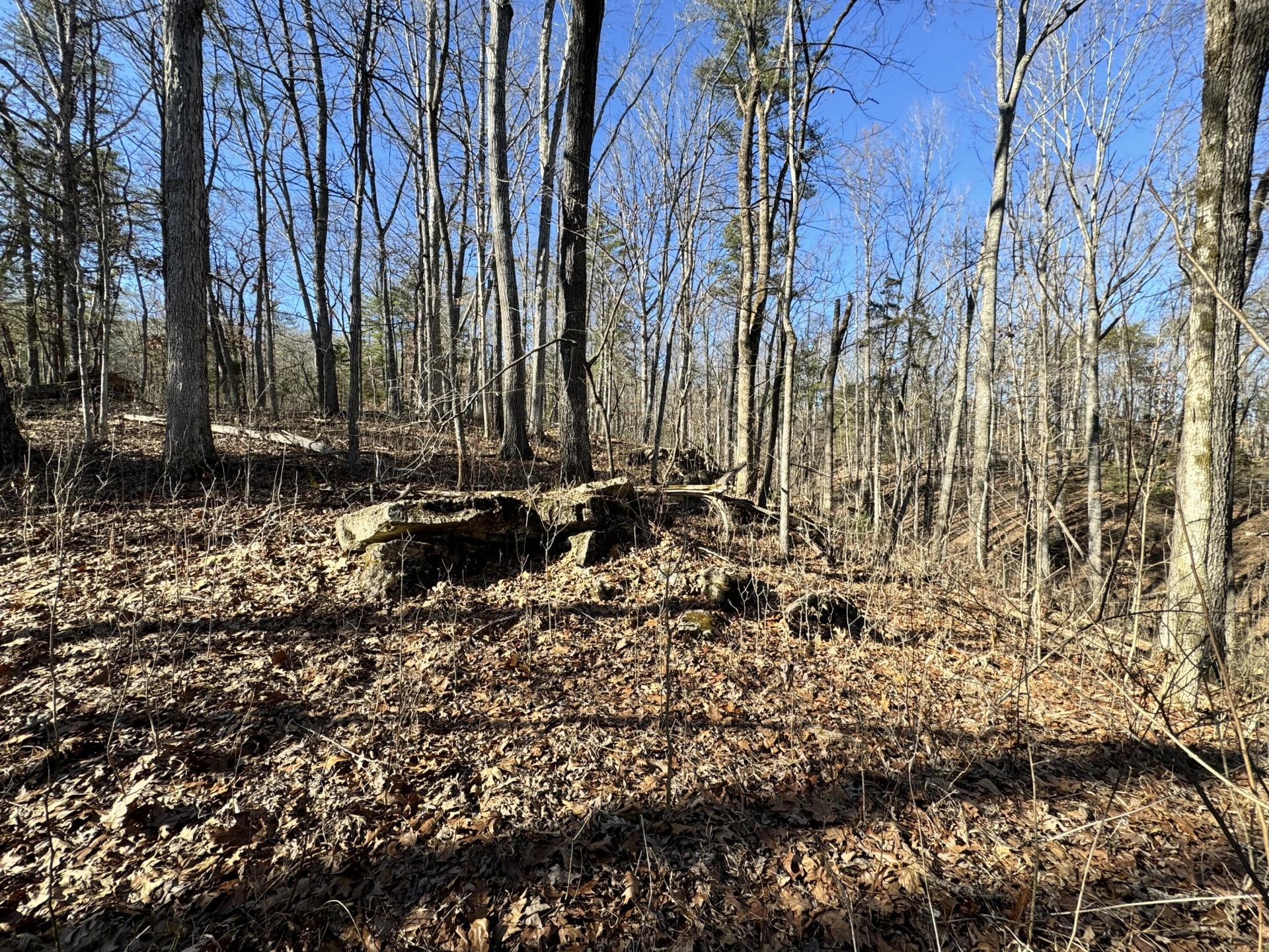0 Timber Ridge - Photo 9