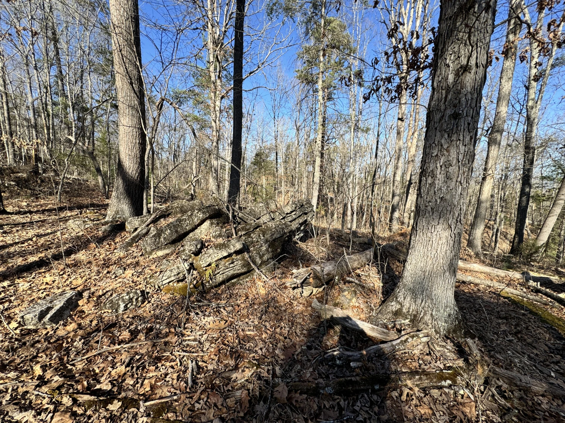 0 Timber Ridge - Photo 10