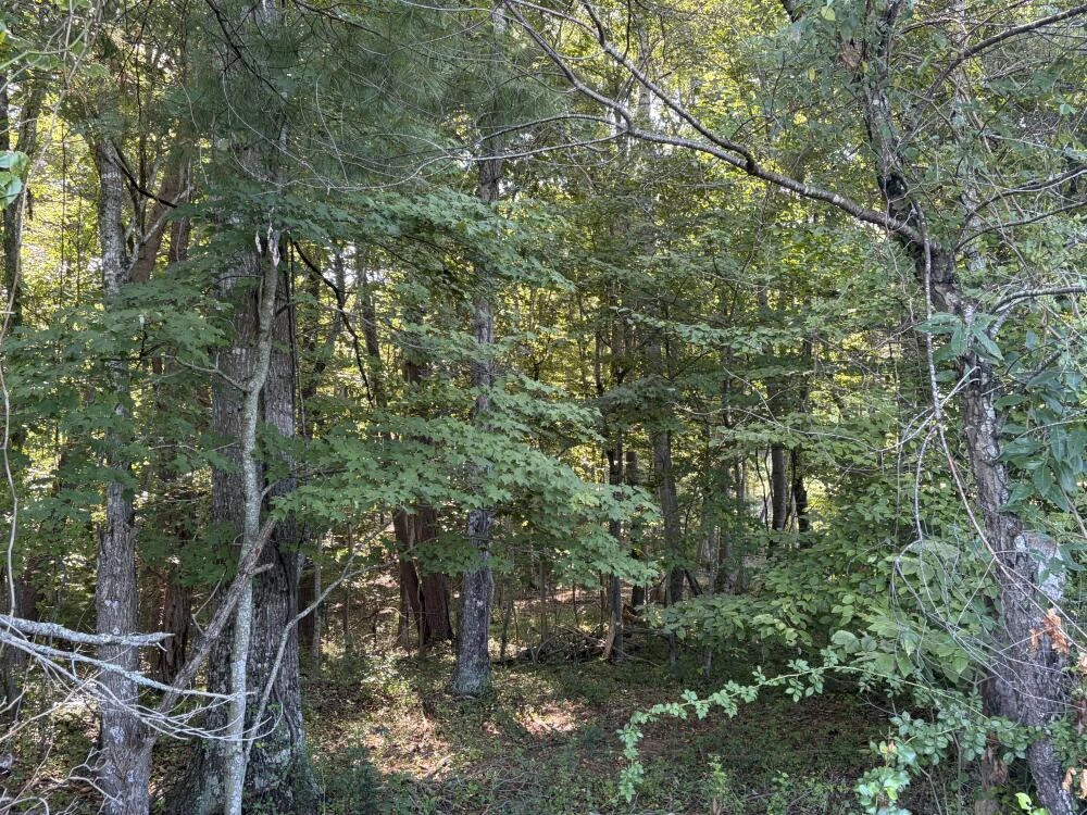 0 Julia Simpkins RD - Photo 2