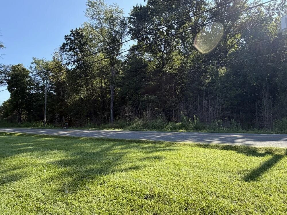 0 Julia Simpkins RD - Photo 4
