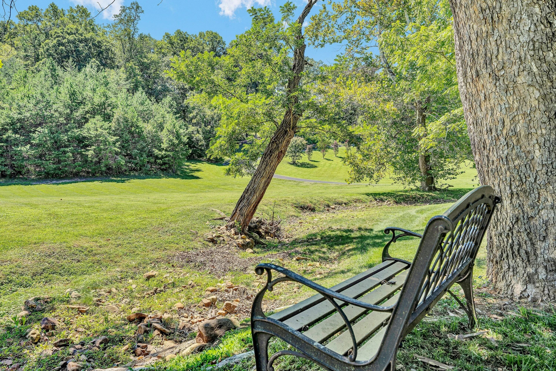 2143 Blue Ridge Springs RD - Photo 53