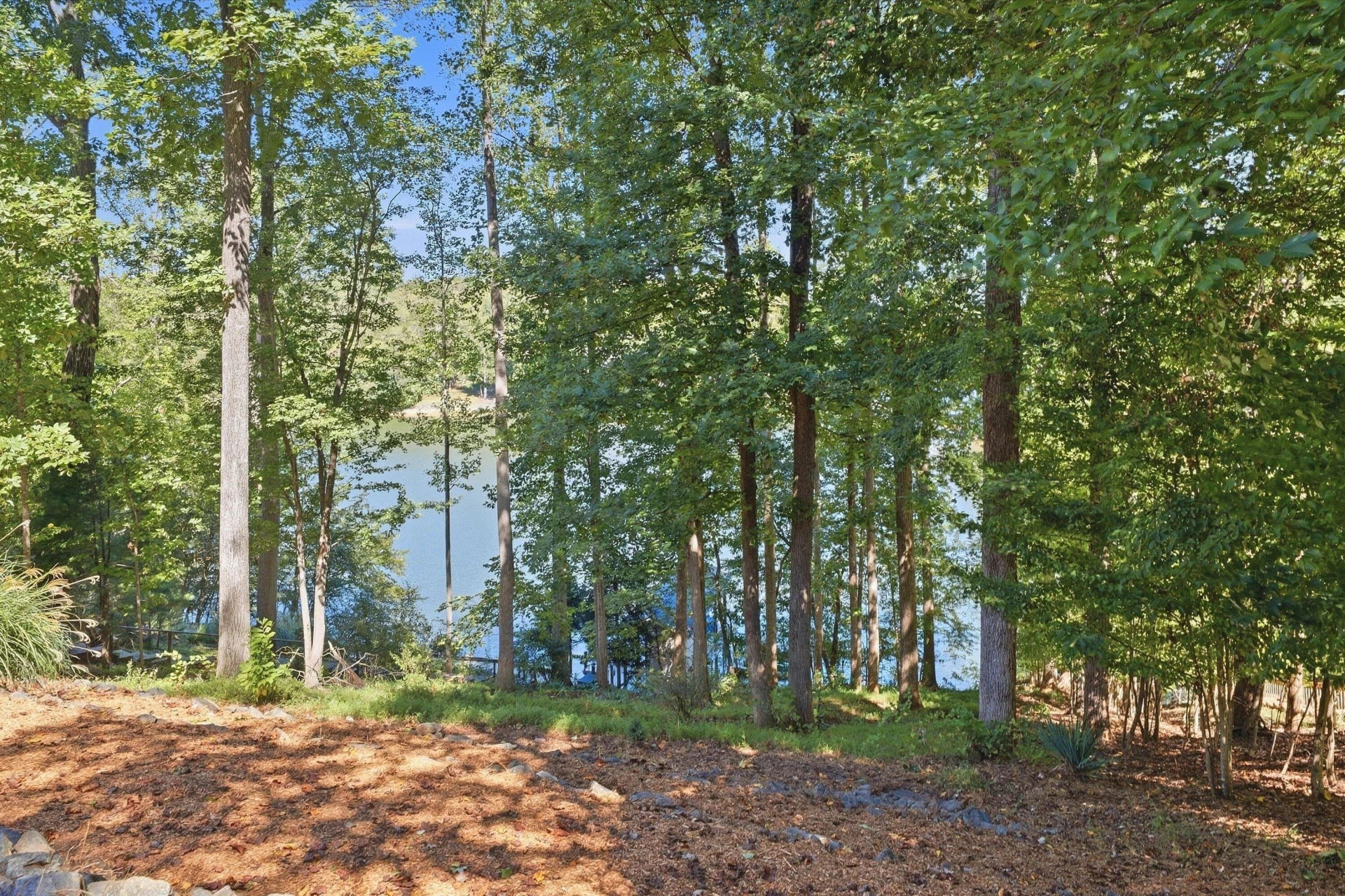 310 Indian Pointe DR - Photo 5