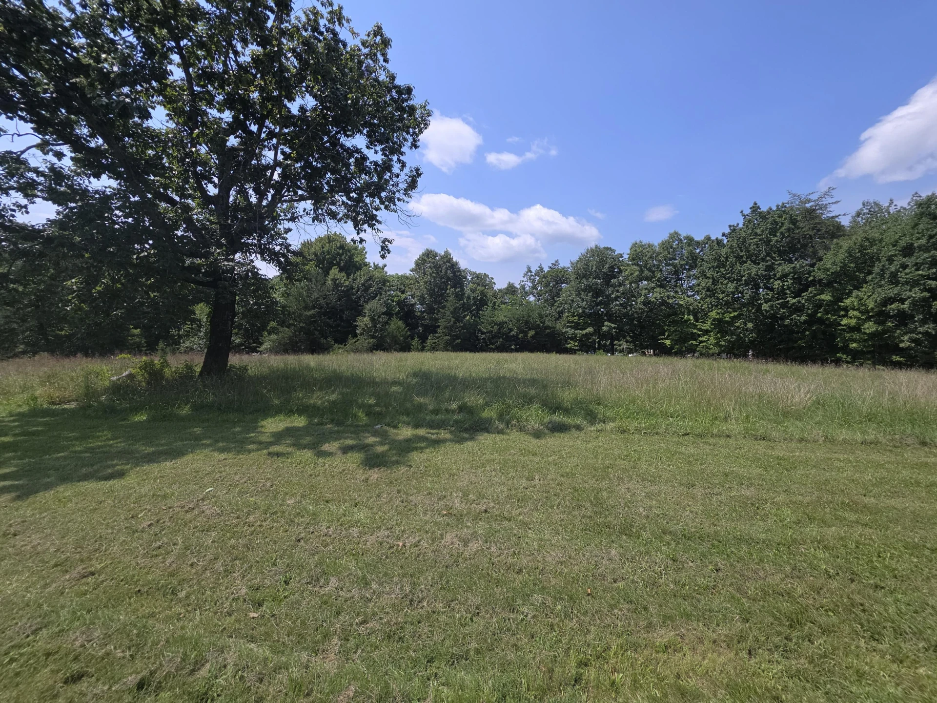 188 Woodland Forest DR - Photo 17