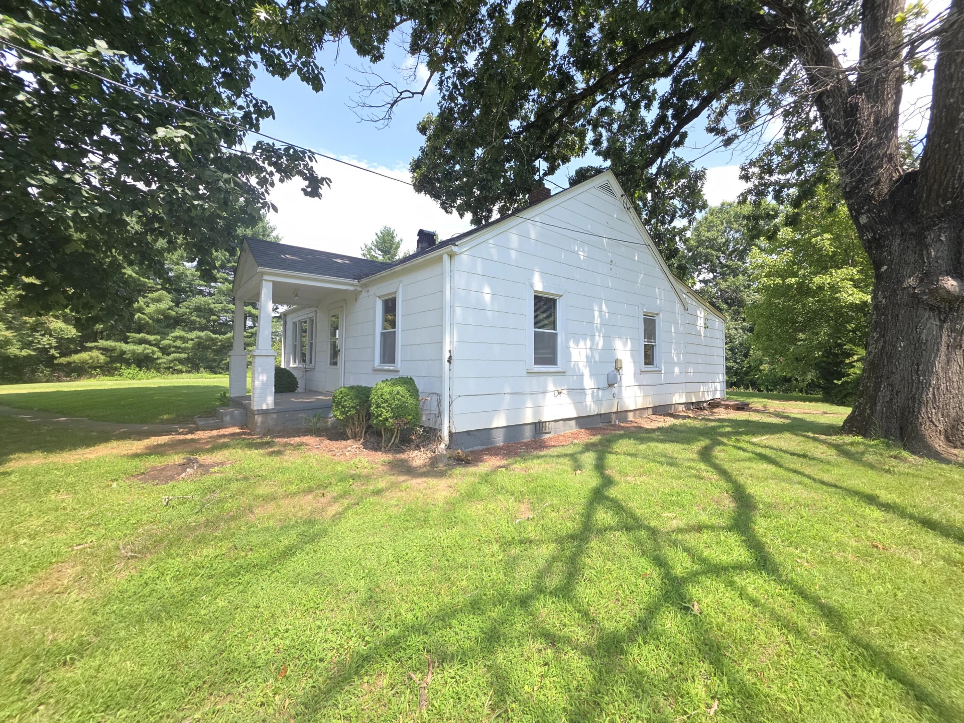 195 Woodland Forest DR - Photo 4