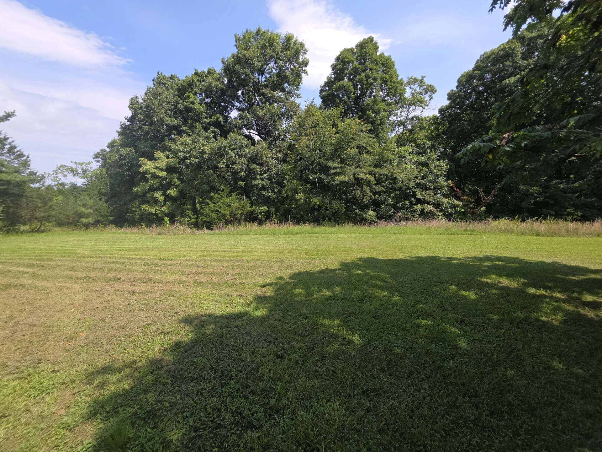195 Woodland Forest DR - Photo 6