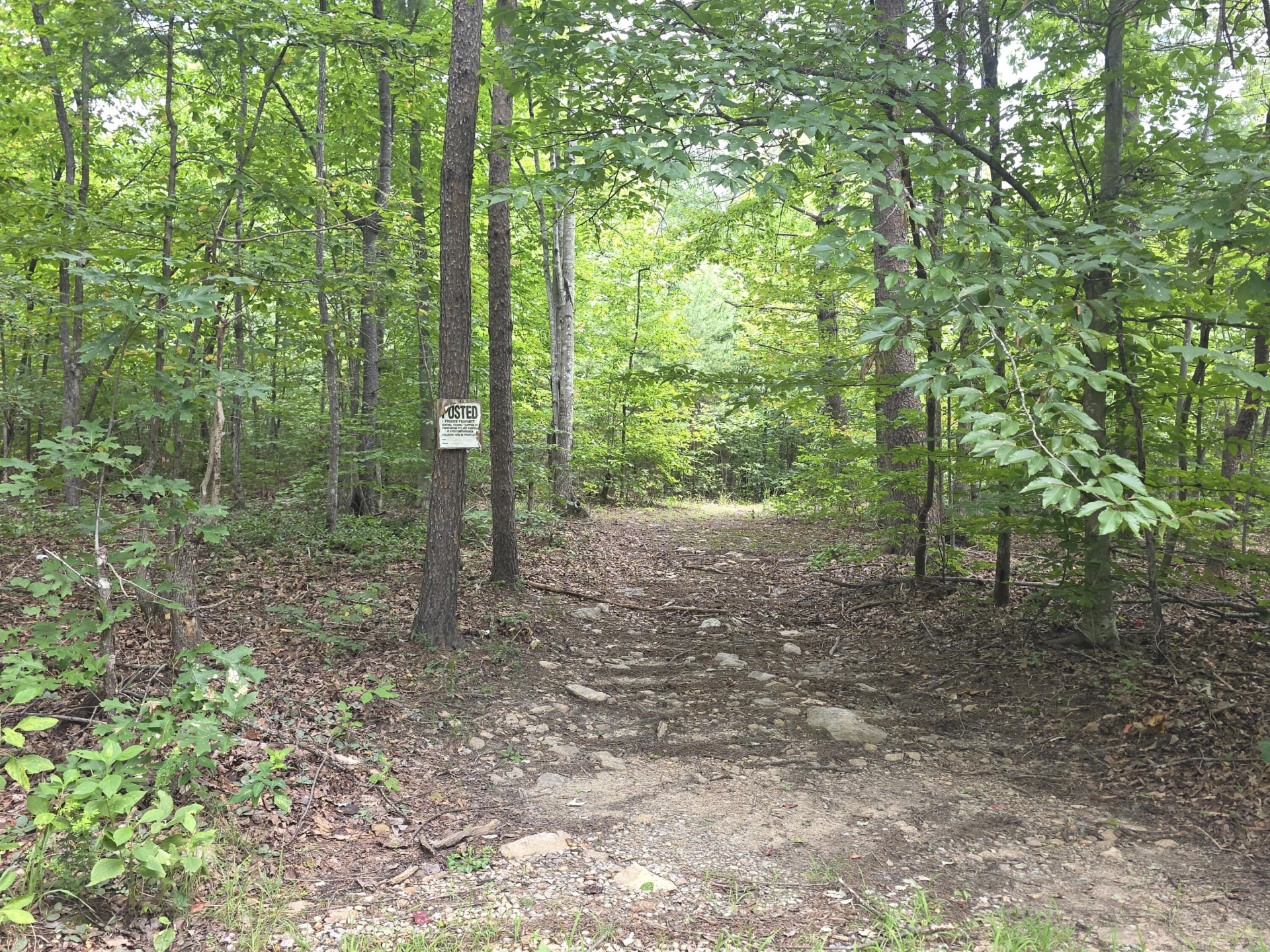 0 Woodland Forest DR - Photo 5