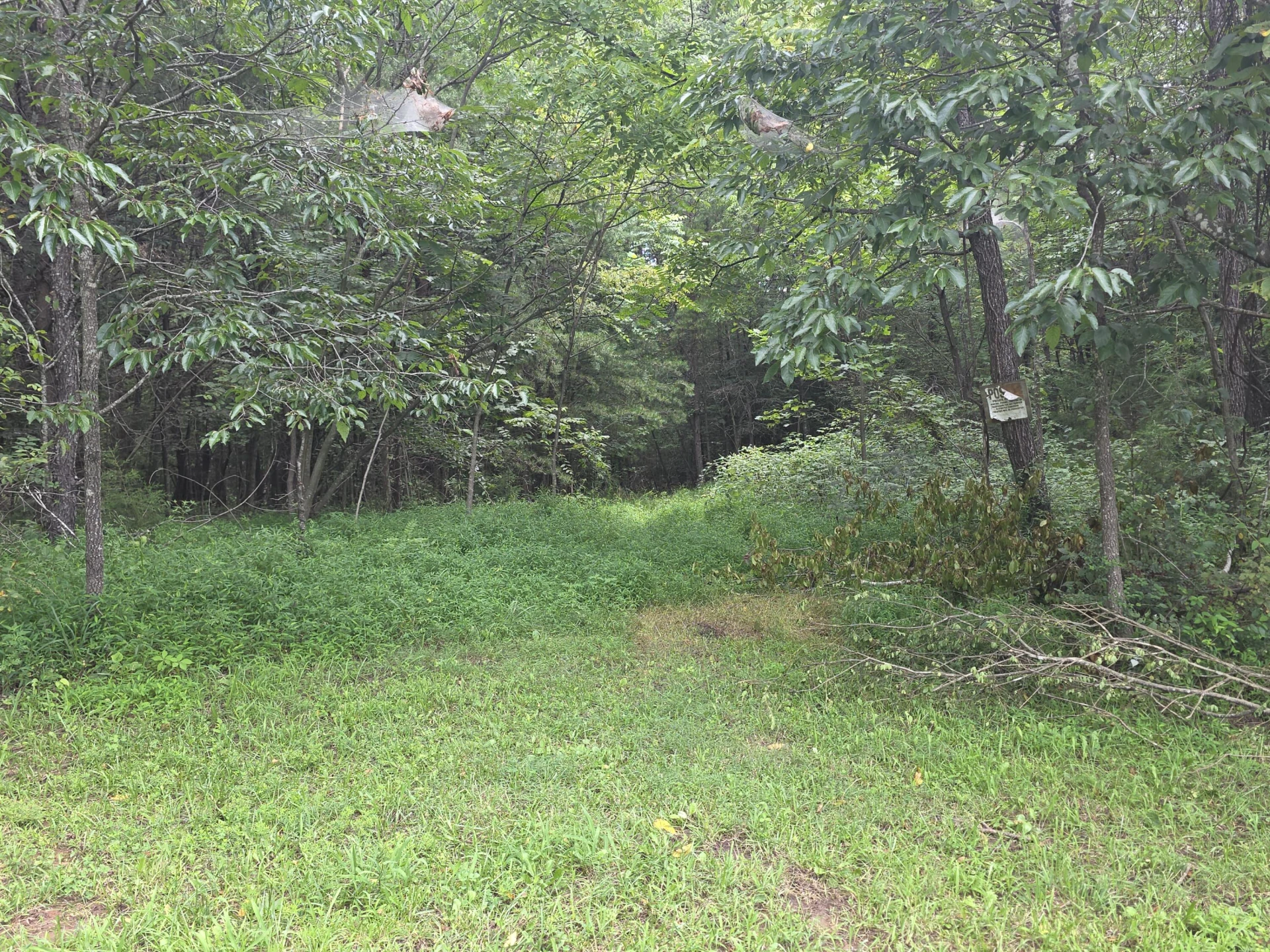 0 Woodland Forest DR - Photo 7