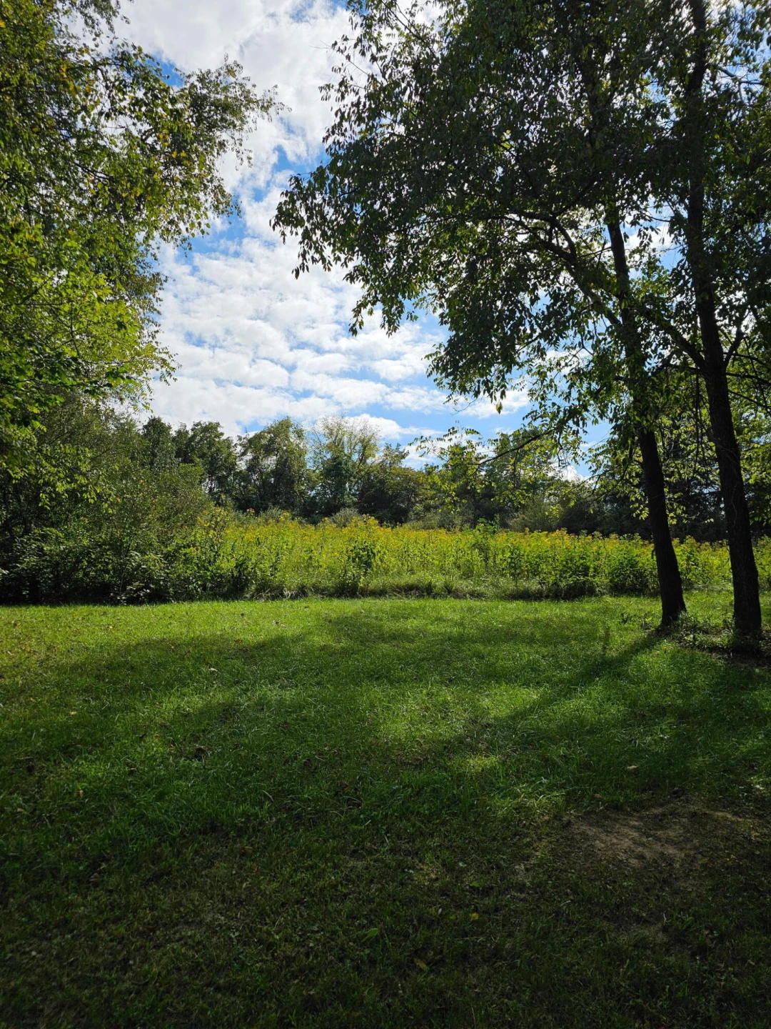 6589 Roanoke RD - Photo 7
