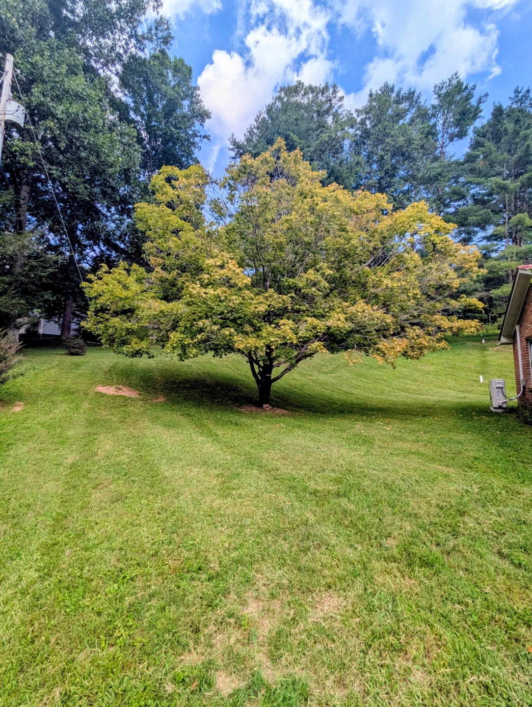 633 Parkway LN S - Photo 6
