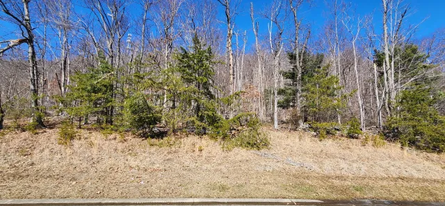 Lot 19 Summit DR, Rocky Mount, VA, 24151