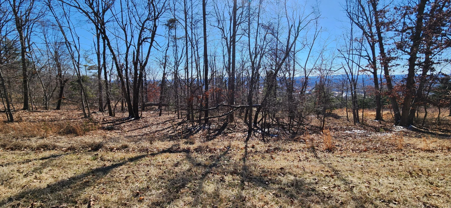 Lot 47 Summit DR