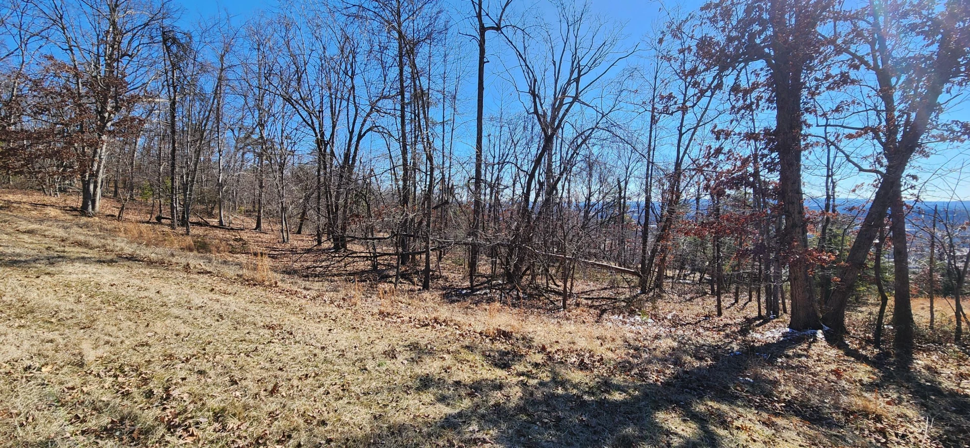 Lot 47 Summit DR - Photo 2