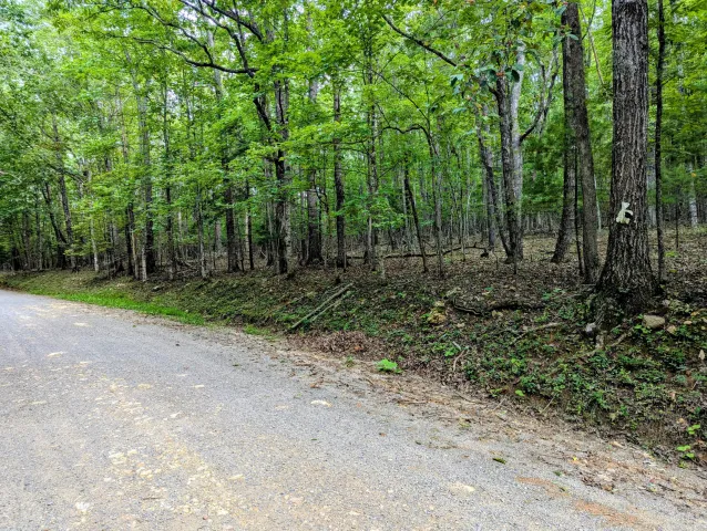 TBD Cannady School RD, Floyd, VA, 24091