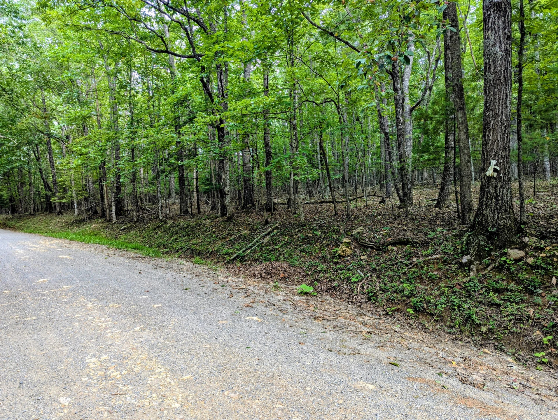 TBD Cannady School RD