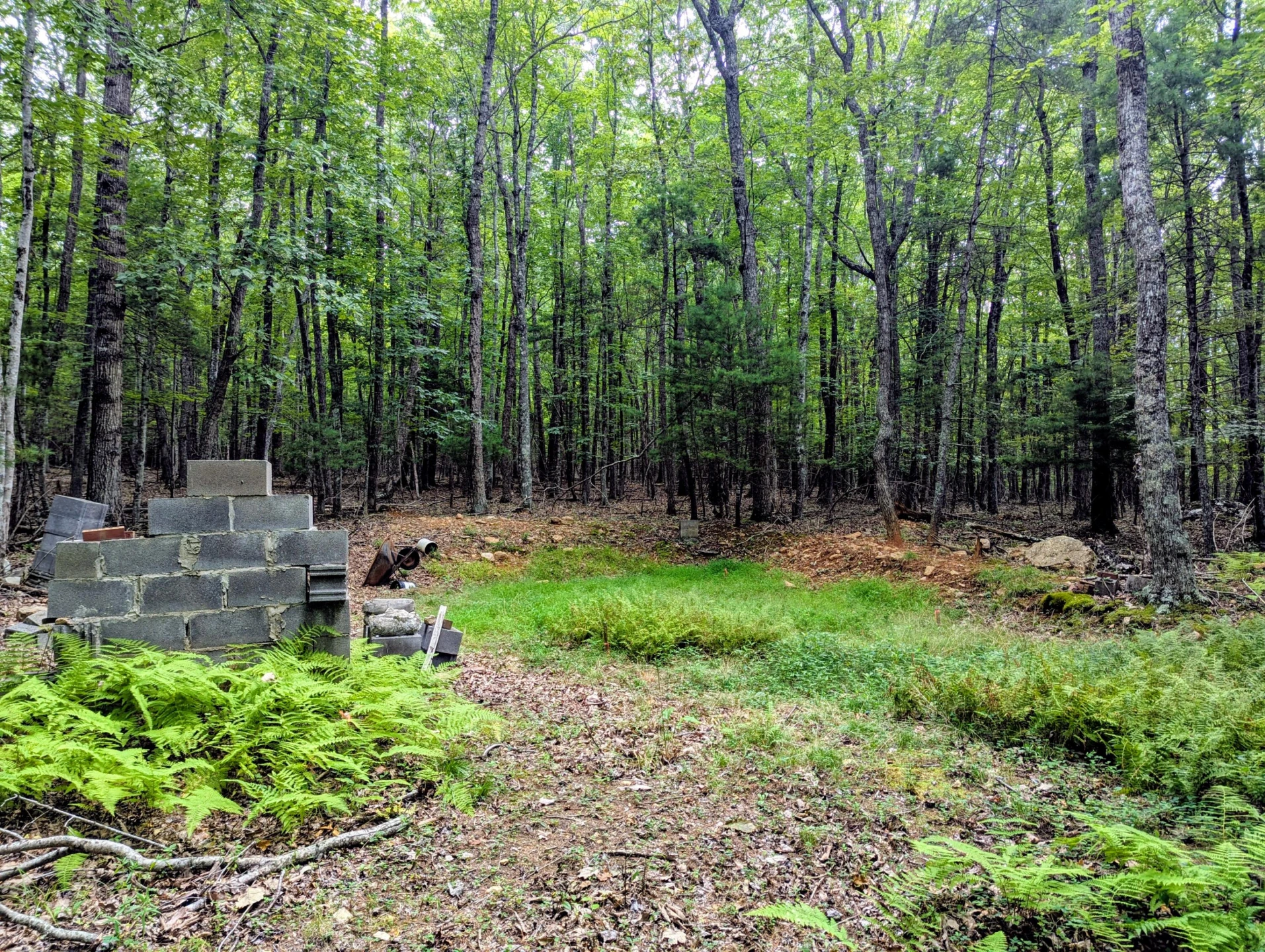 TBD Cannady School RD - Photo 2