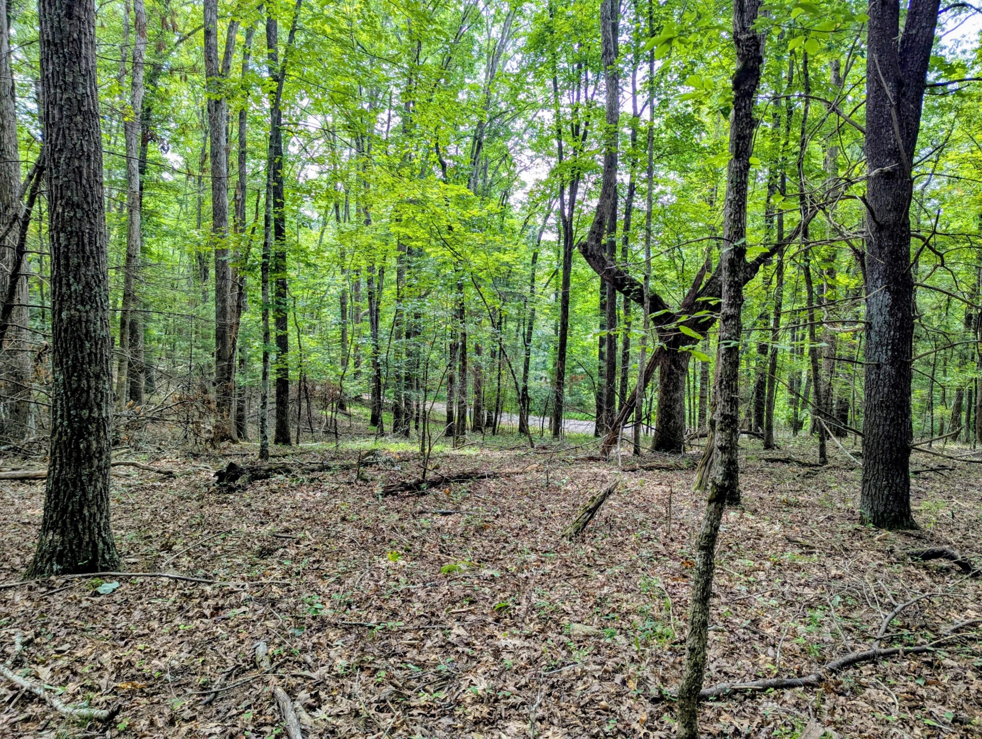 TBD Cannady School RD - Photo 5