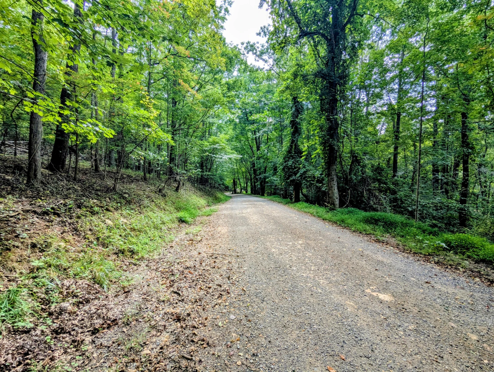 TBD Cannady School RD - Photo 6