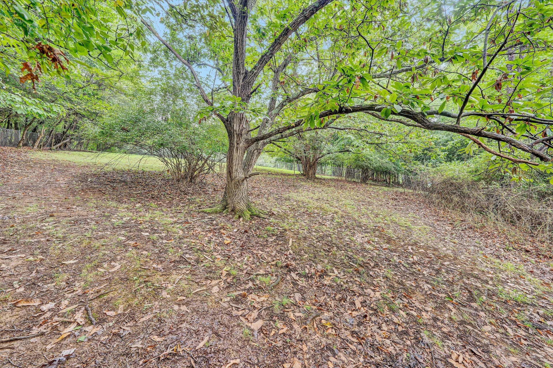 3401 Kenwick TRL - Photo 44