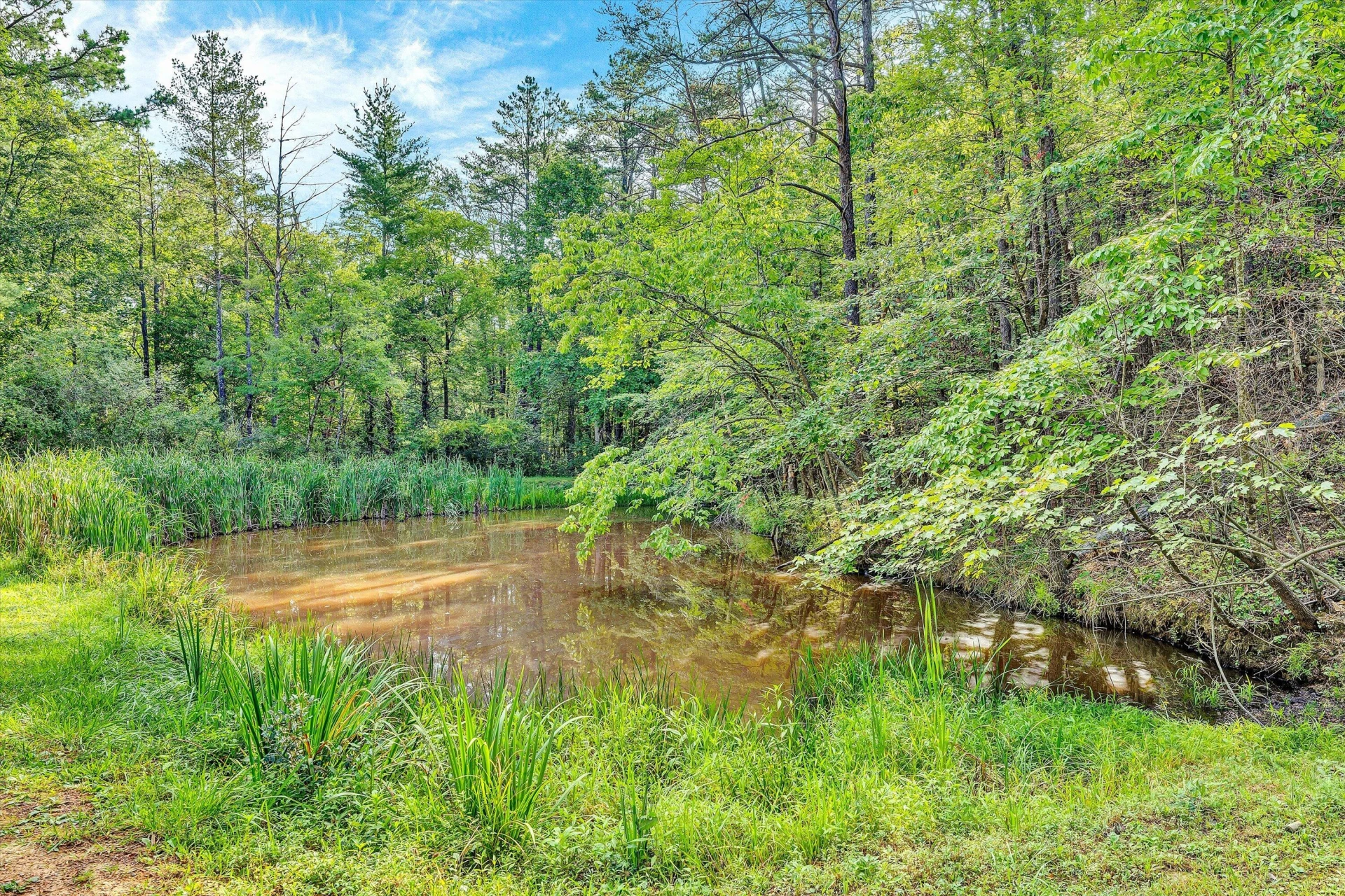 3480 Alltree TRL - Photo 48