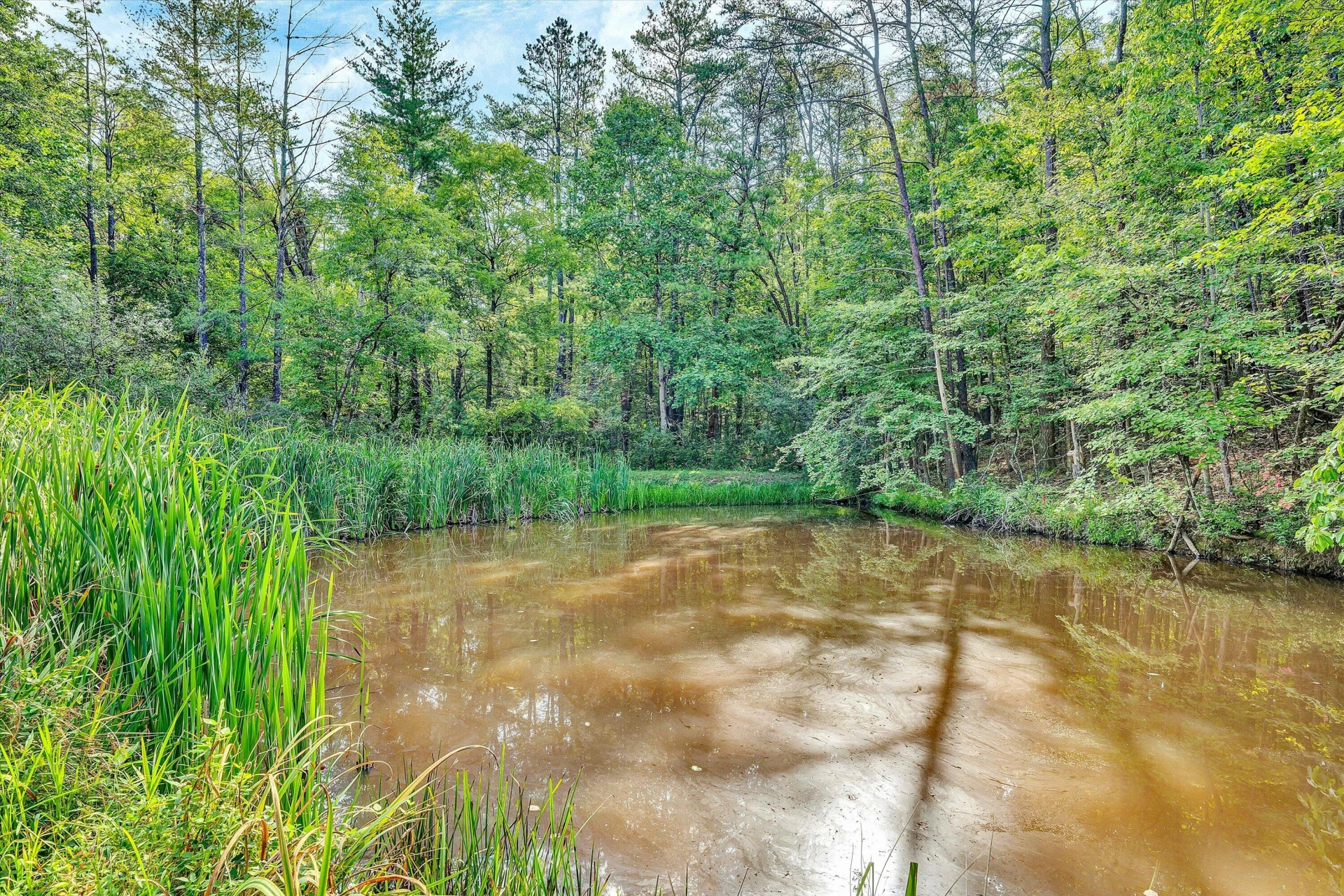 3480 Alltree TRL - Photo 49
