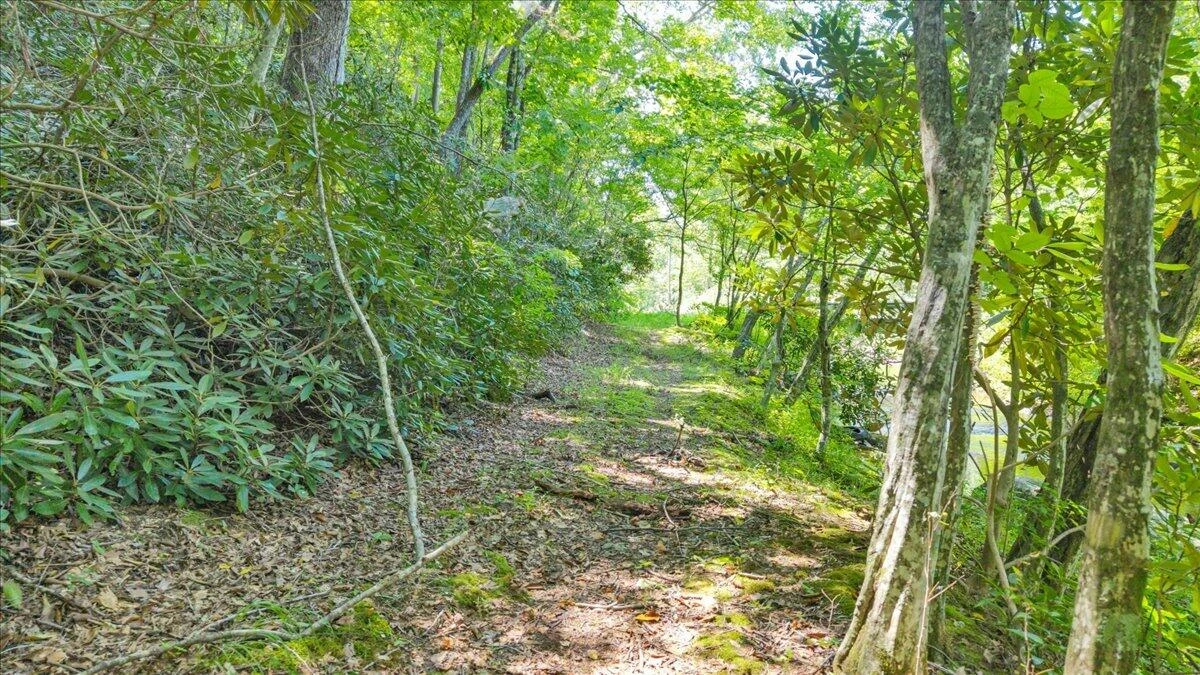 0 Crestview DR - Photo 5