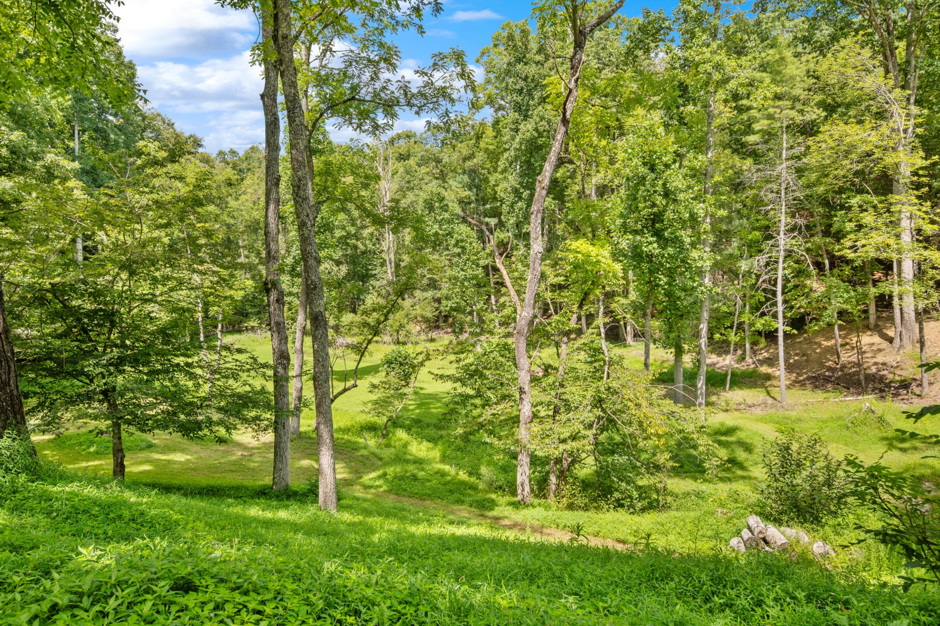 4681 Fishers View RD - Photo 47