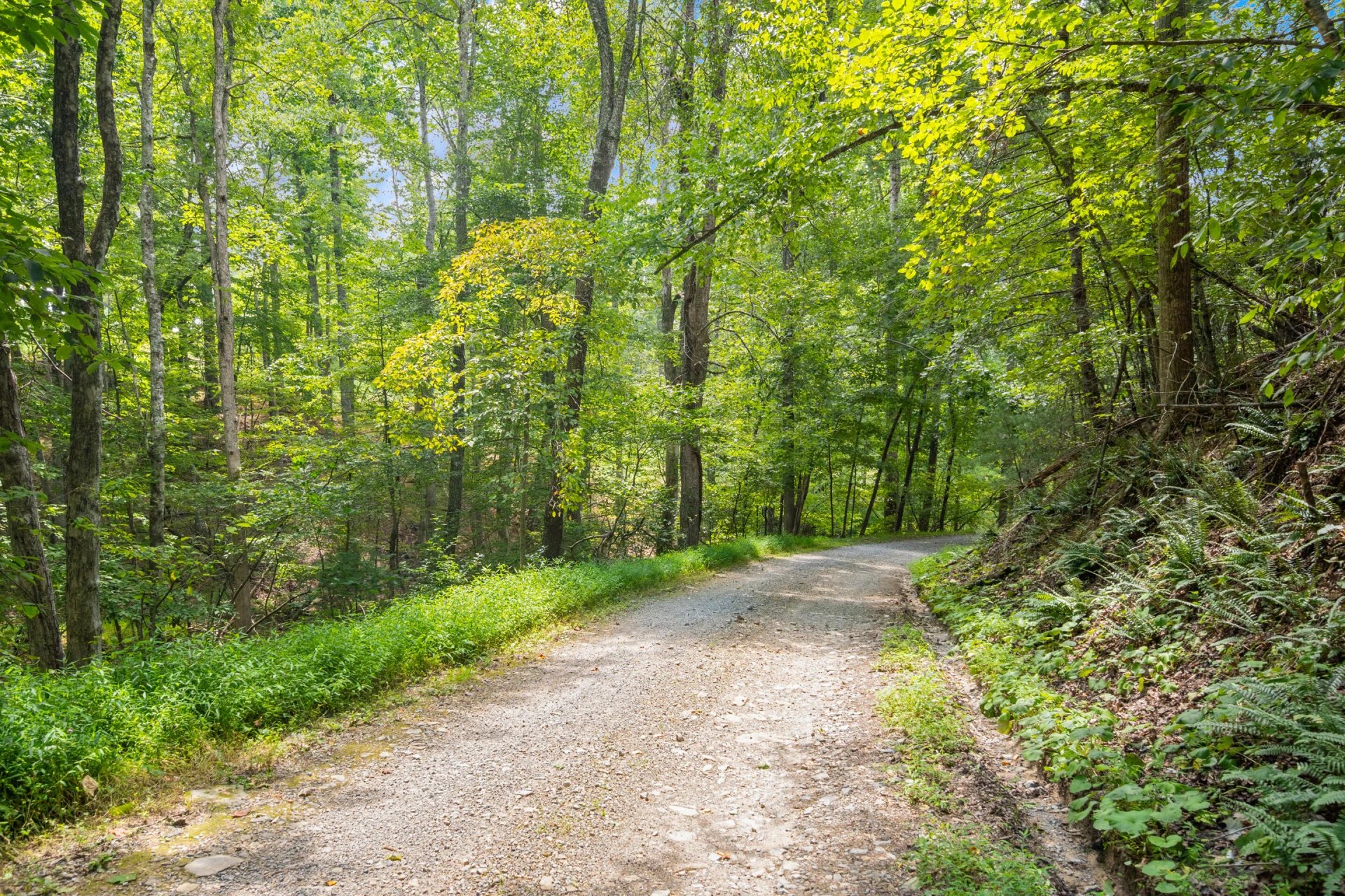 4681 Fishers View RD - Photo 52