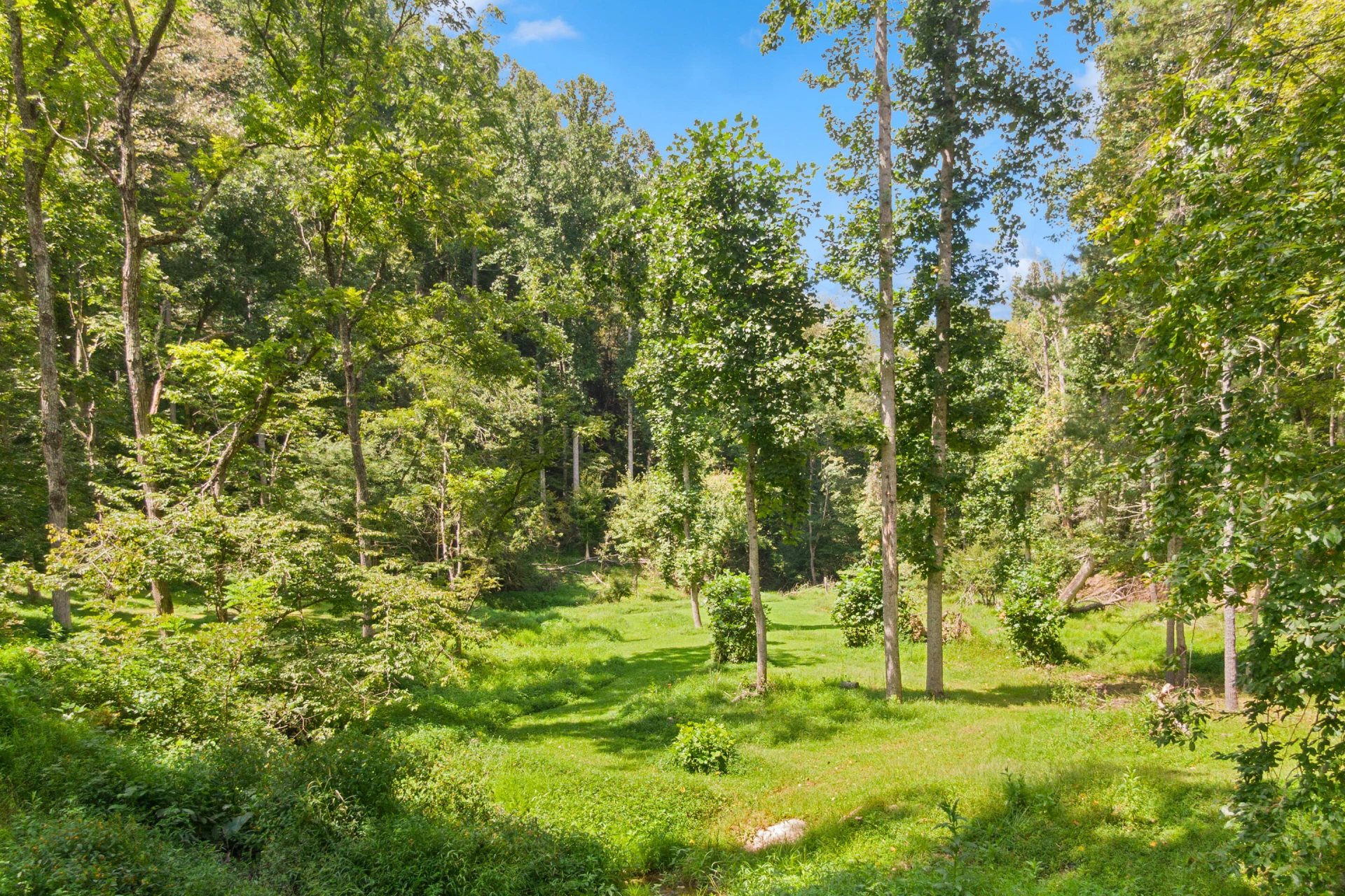 4681 Fishers View RD - Photo 54
