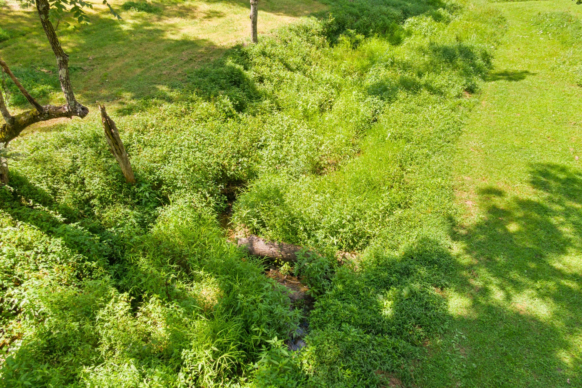 4681 Fishers View RD - Photo 55