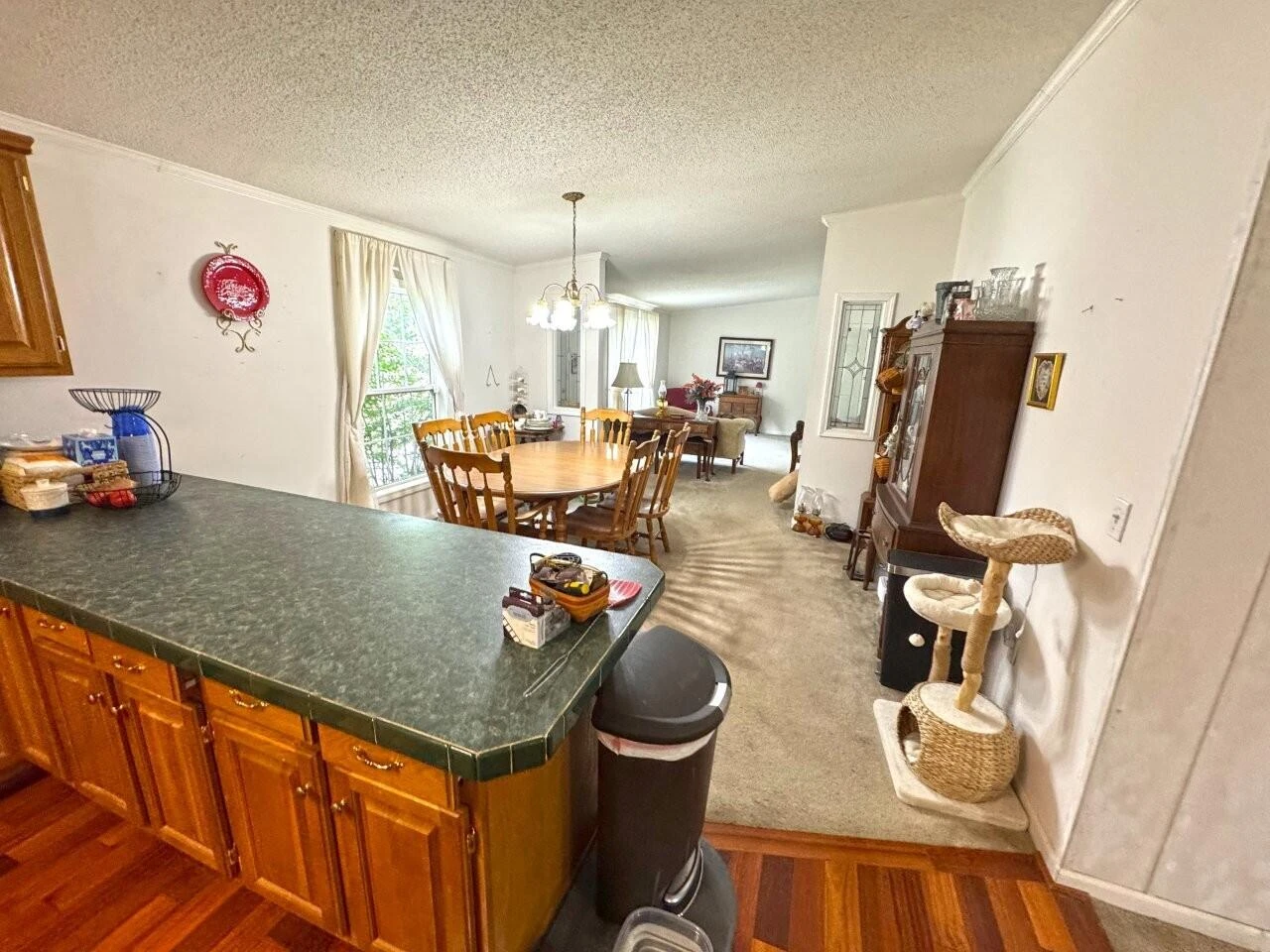 259 Scruggs RD - Photo 8
