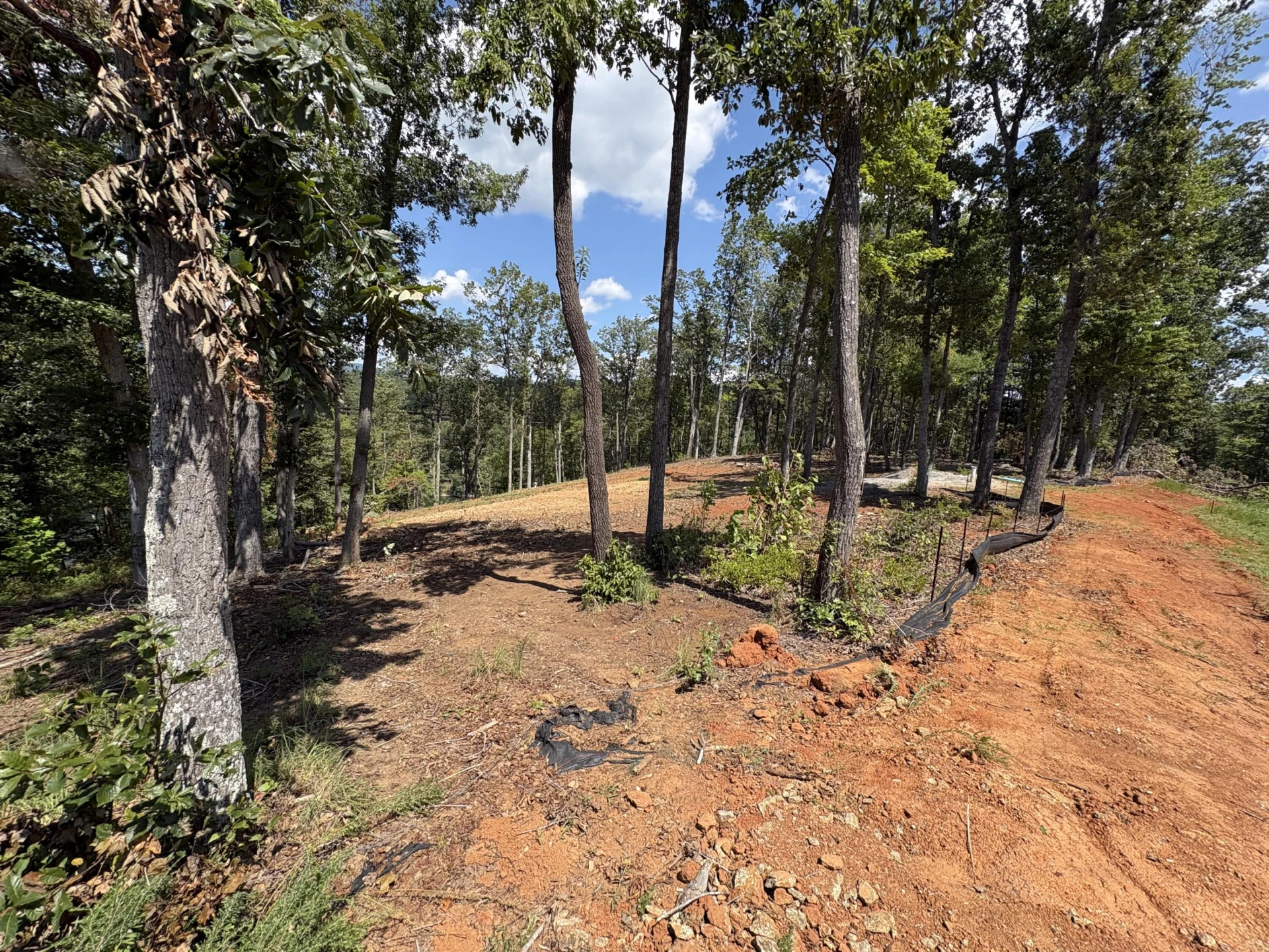 Lot 51 Pearl DR - Photo 9