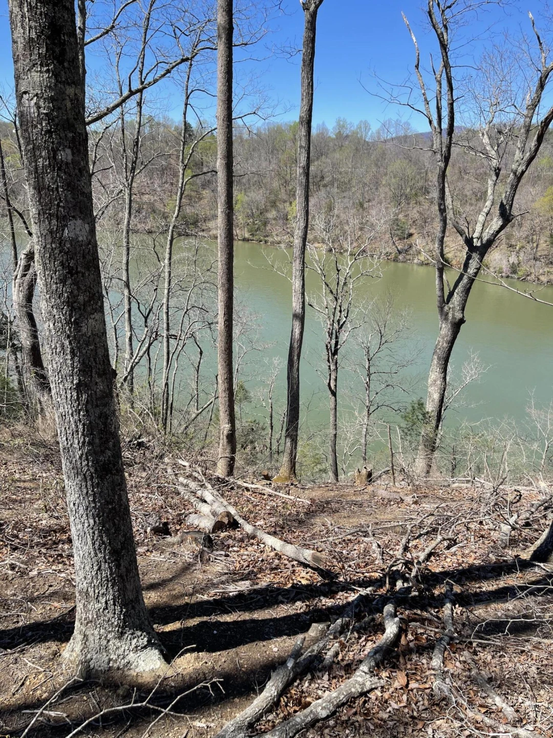Lot 51 Pearl DR - Photo 11