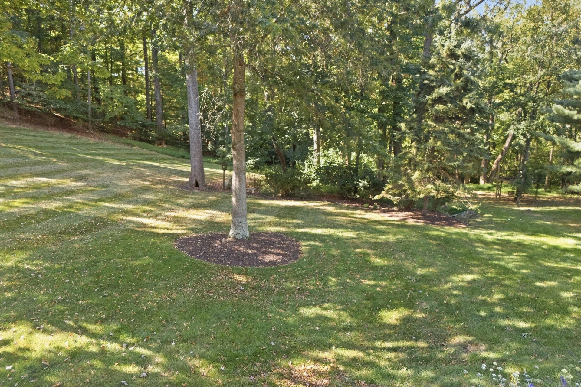 1538 Strawberry Mountain DR - Photo 65