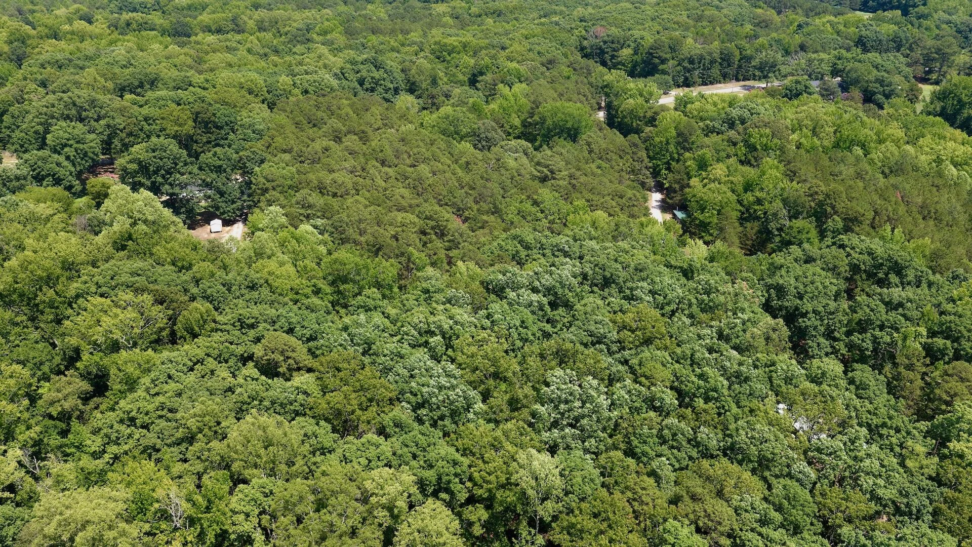 1031 Rock Church RD - Photo 3