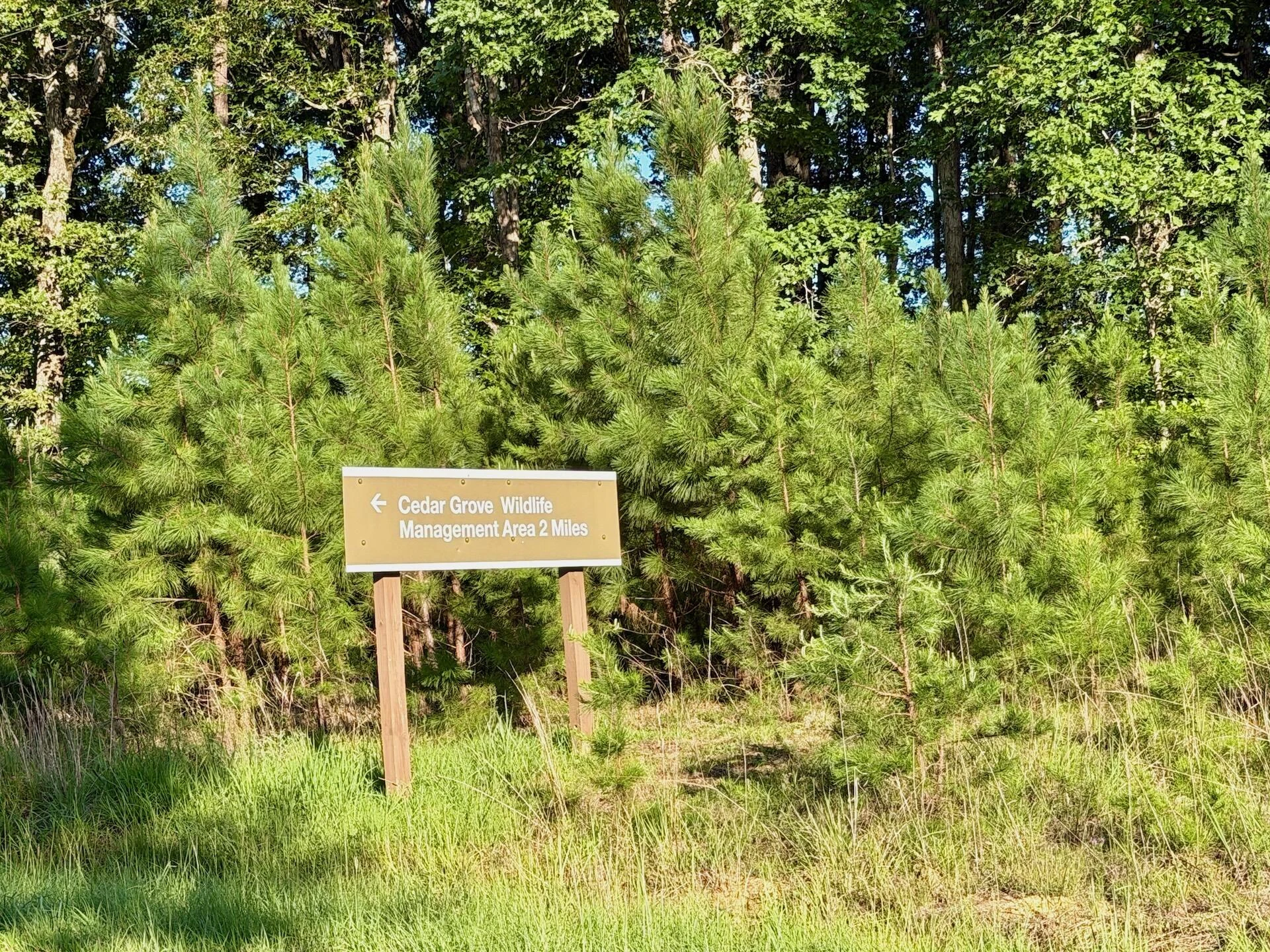 1031 Rock Church RD - Photo 15