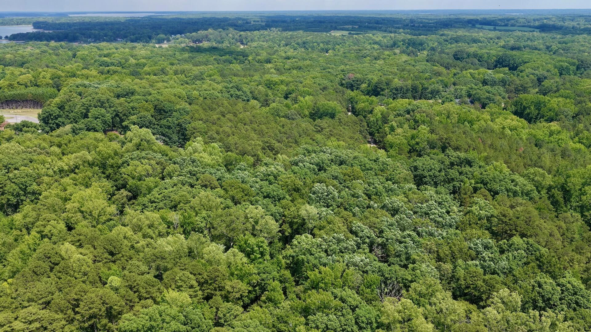1031 Rock Church RD - Photo 28