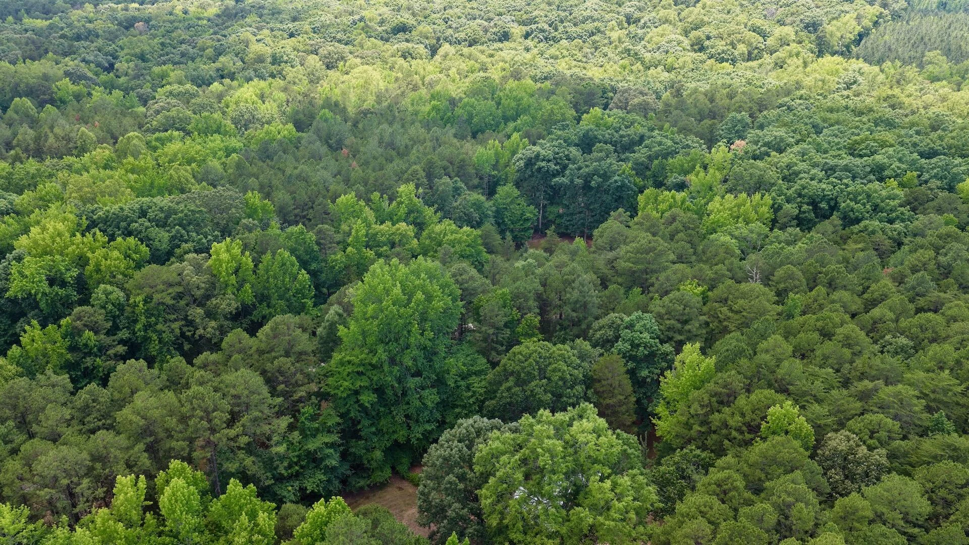 1031 Rock Church RD - Photo 33