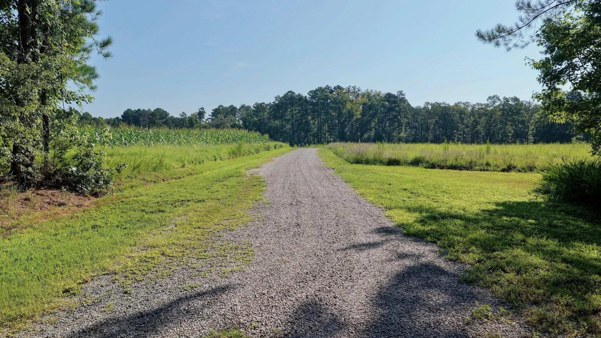 0 Lewis Mill RD - Photo 4