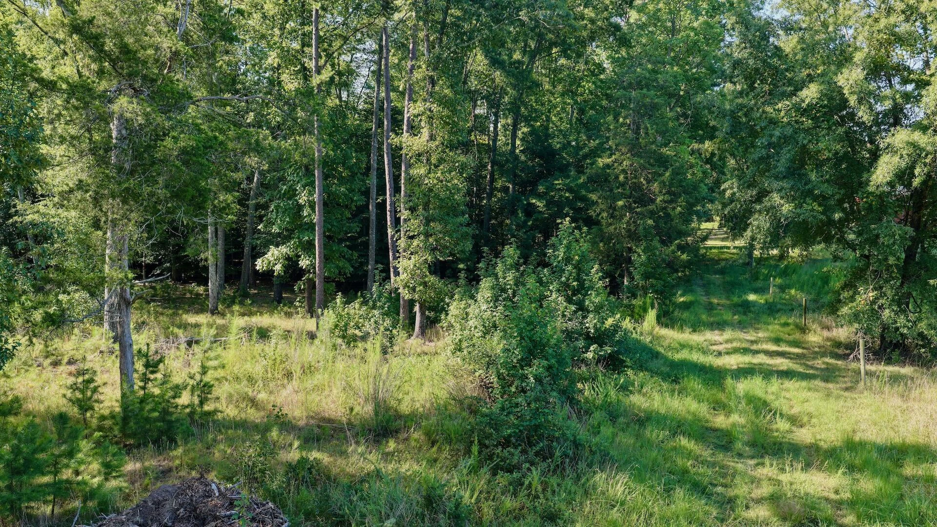 0 Lewis Mill RD - Photo 5