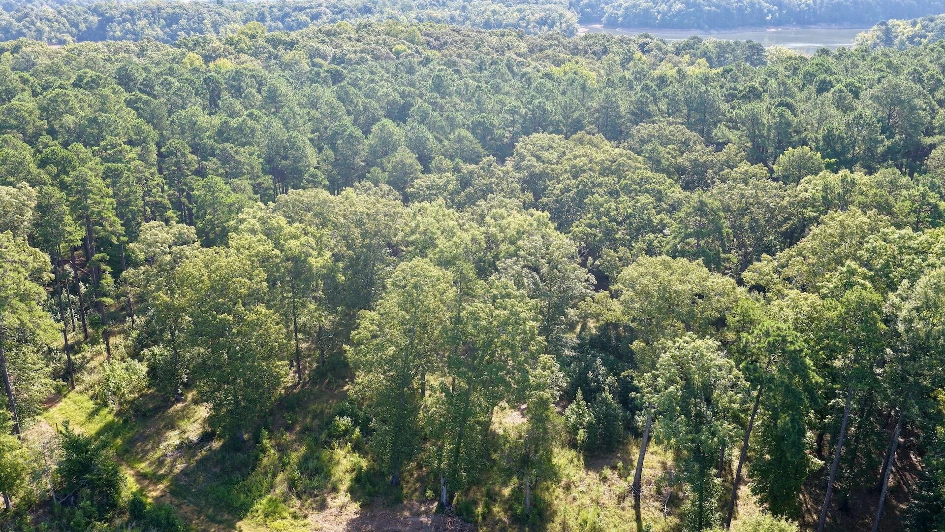0 Lewis Mill RD - Photo 10