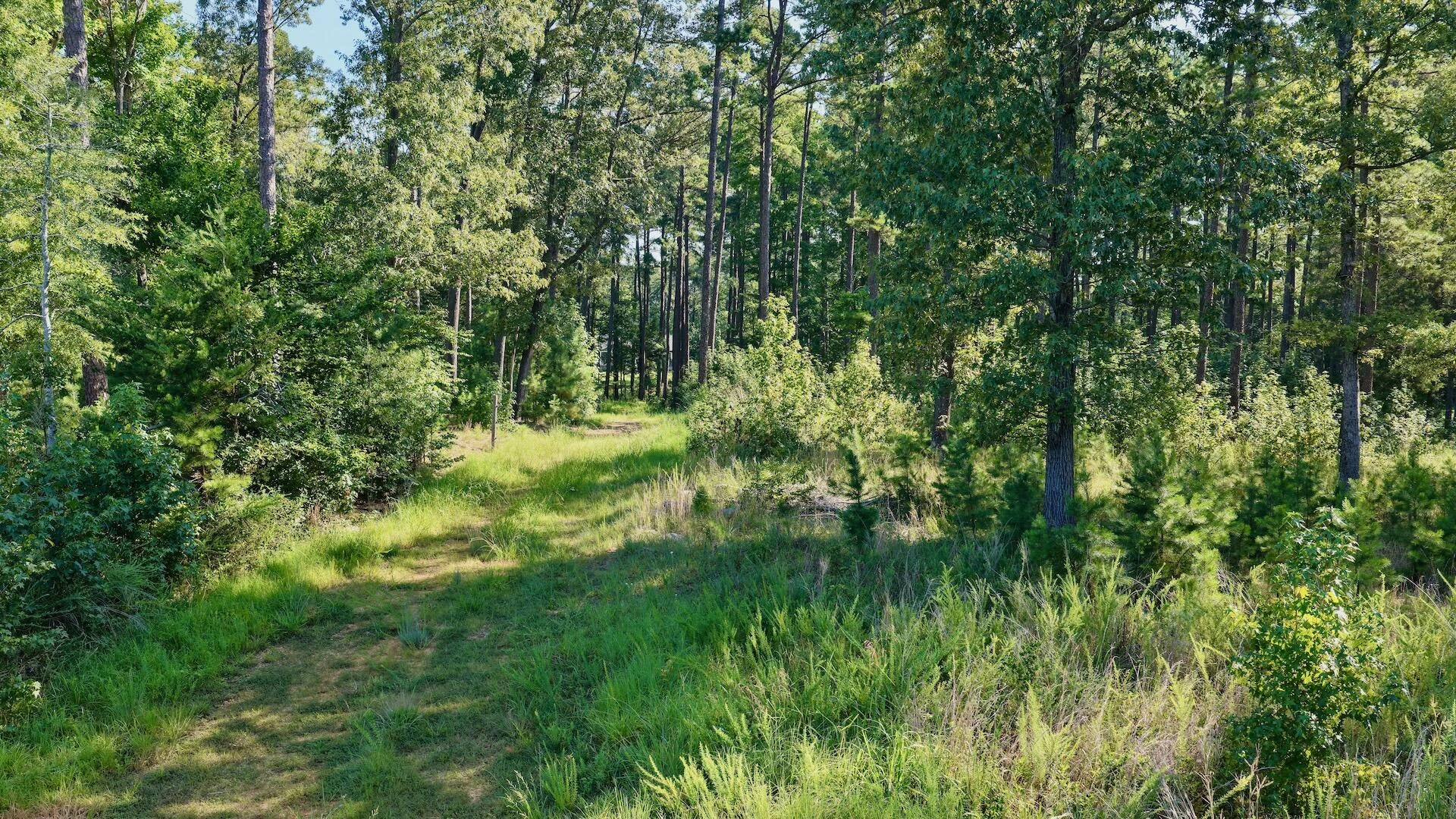 0 Lewis Mill RD - Photo 12